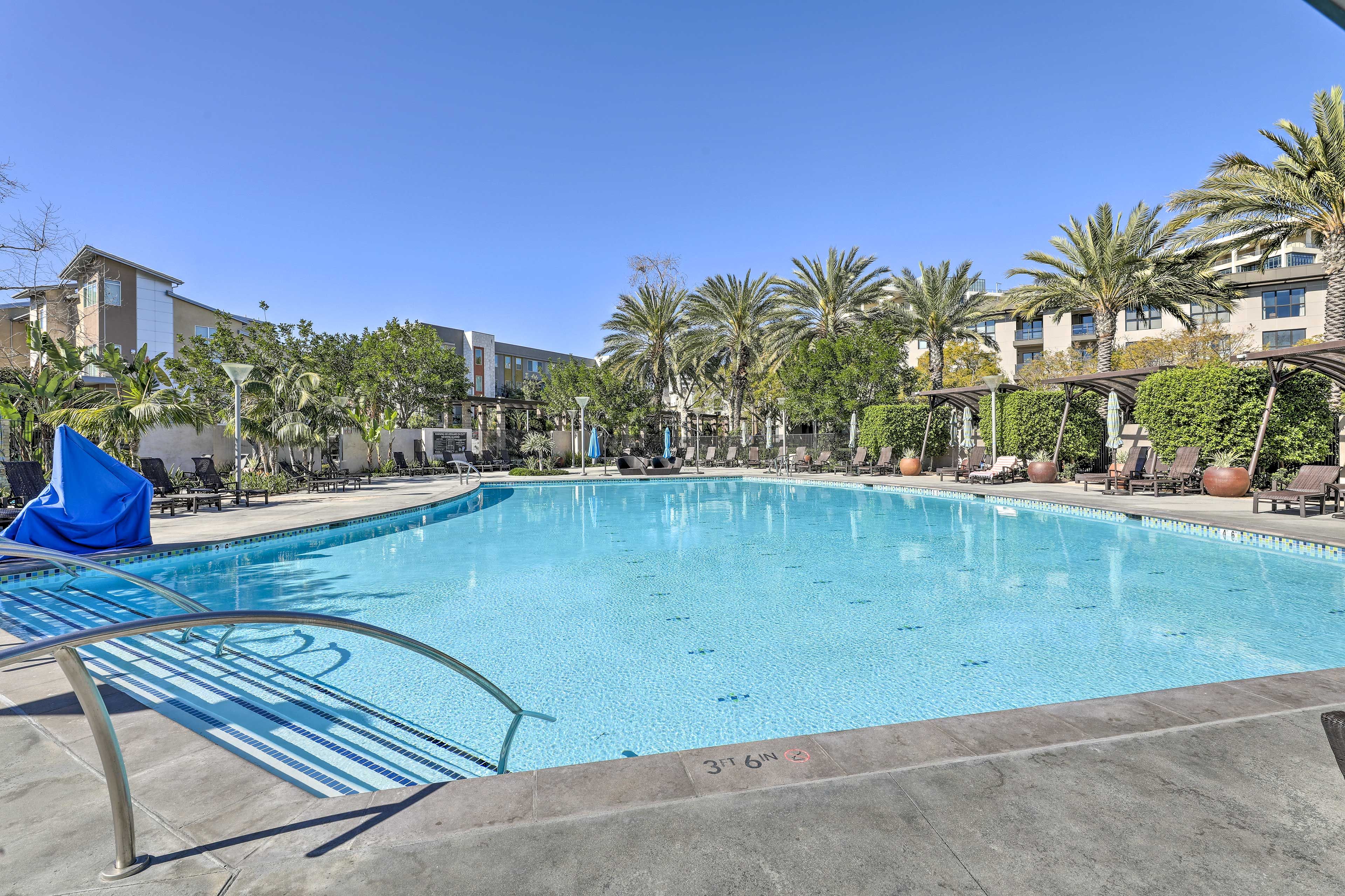Community Amenities | Jr Olympic Saltwater Pool (Open Year-Round)