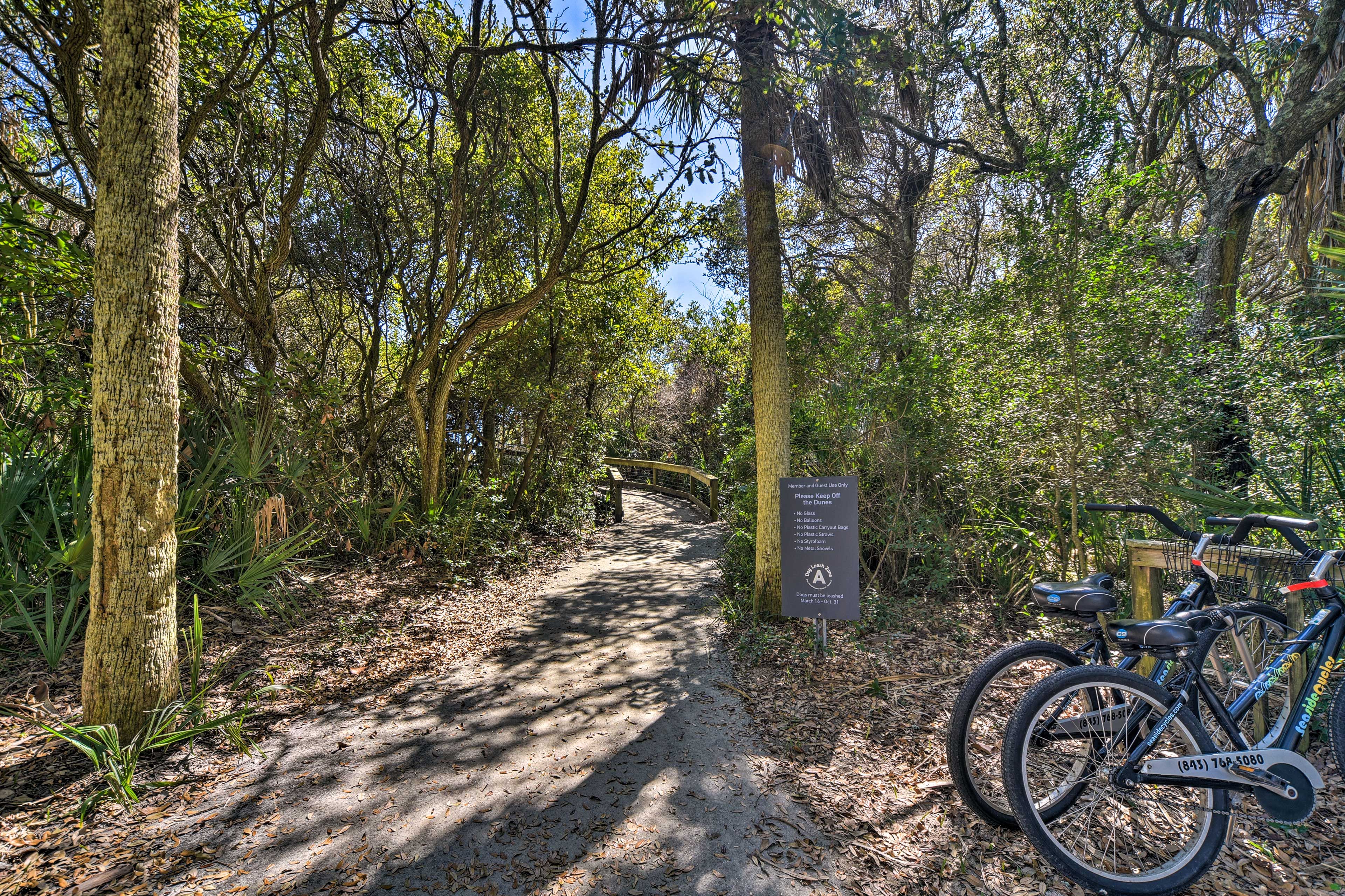 Surrounding Area | Trails