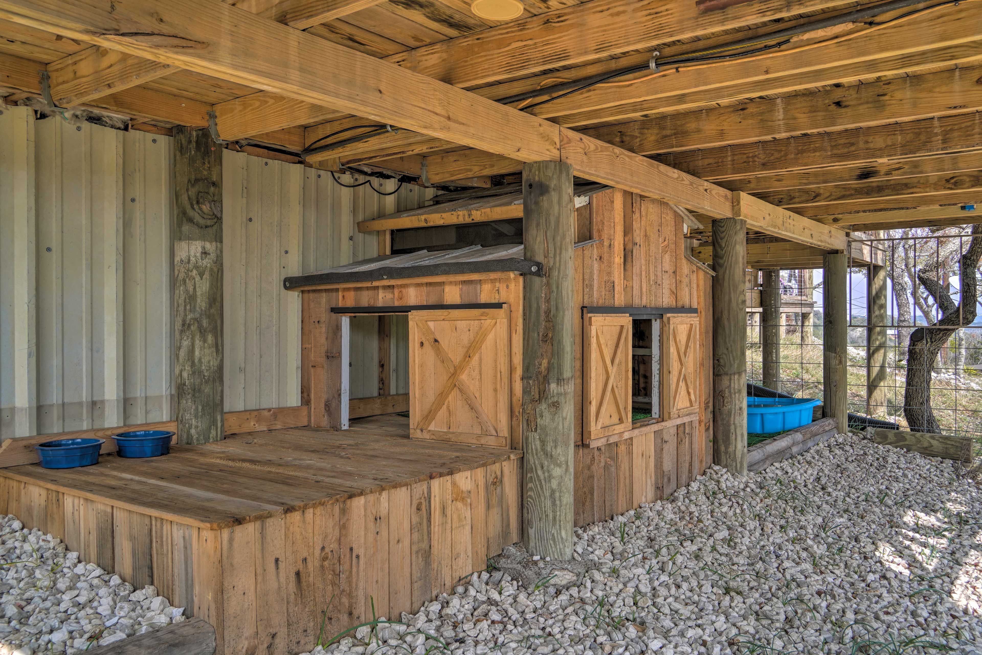 Custom Dog House