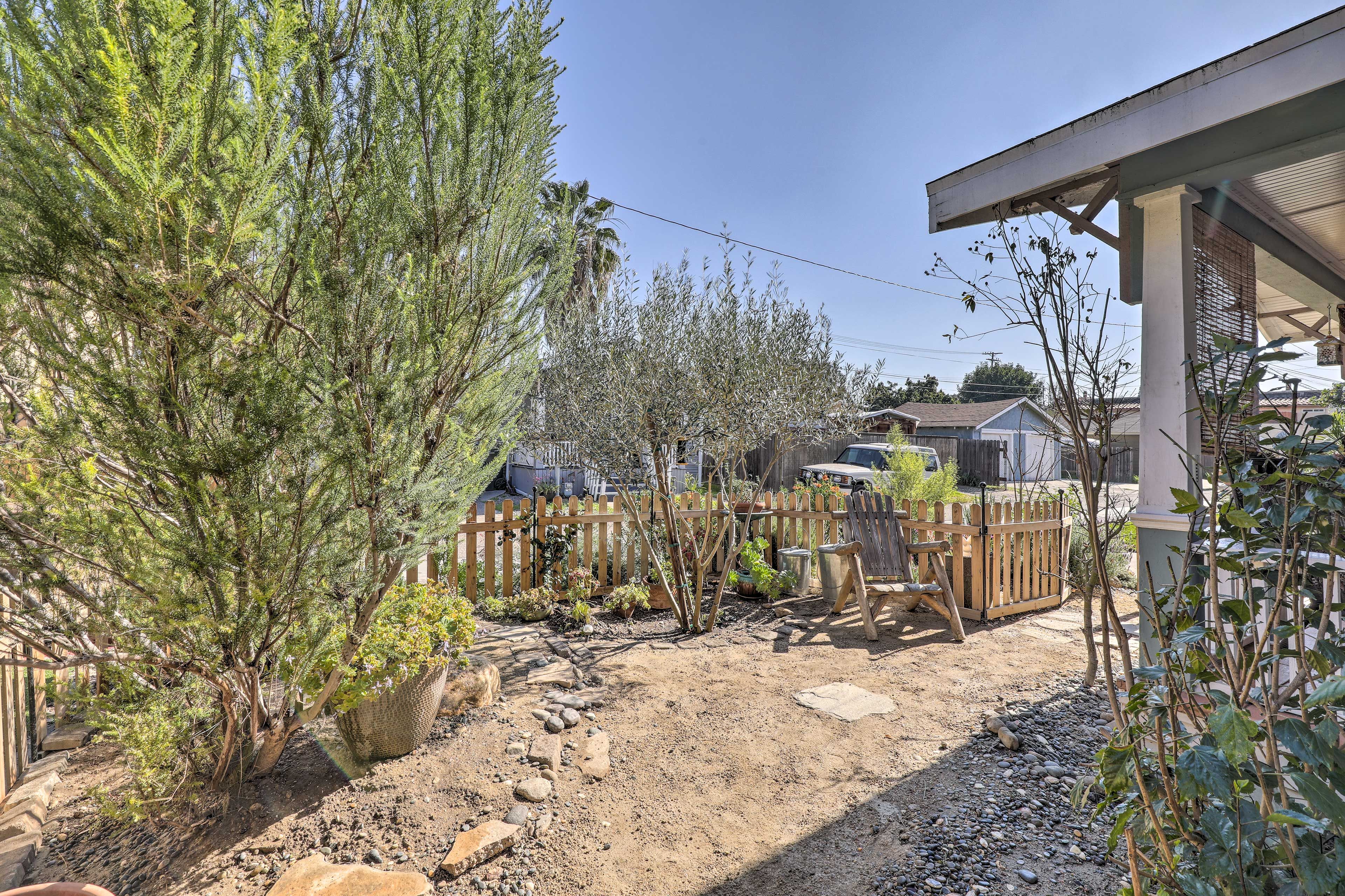 Yard | Garden