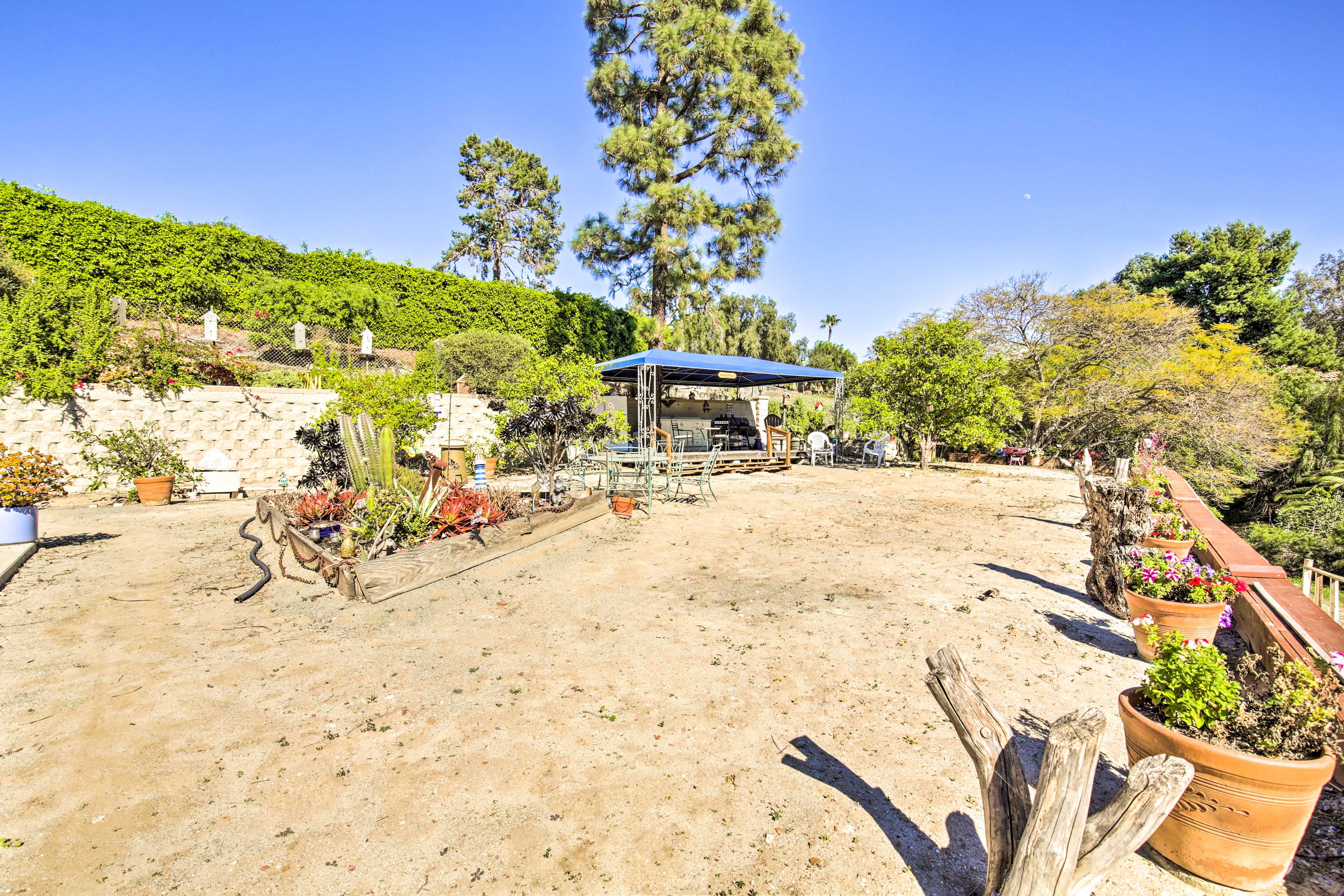 Shared Yard