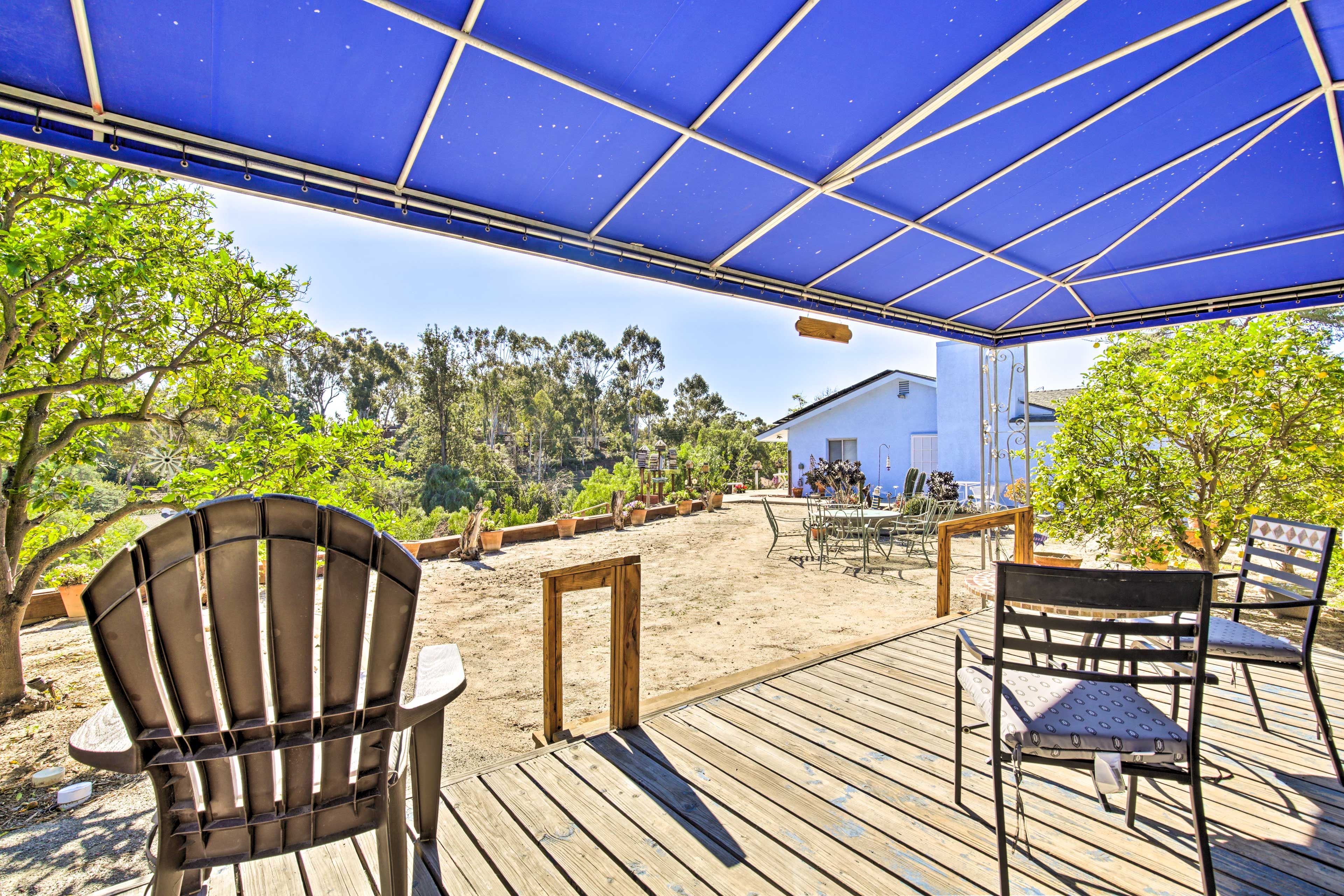 Shared Outdoor Kitchen