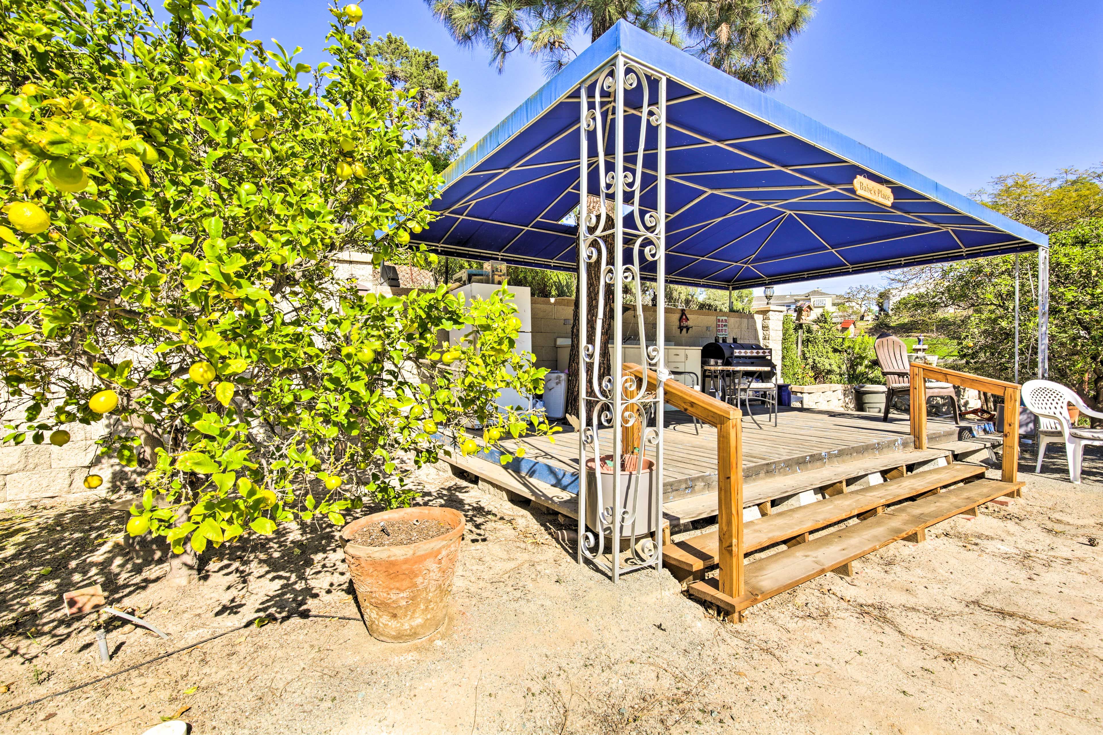 Shared Outdoor Kitchen