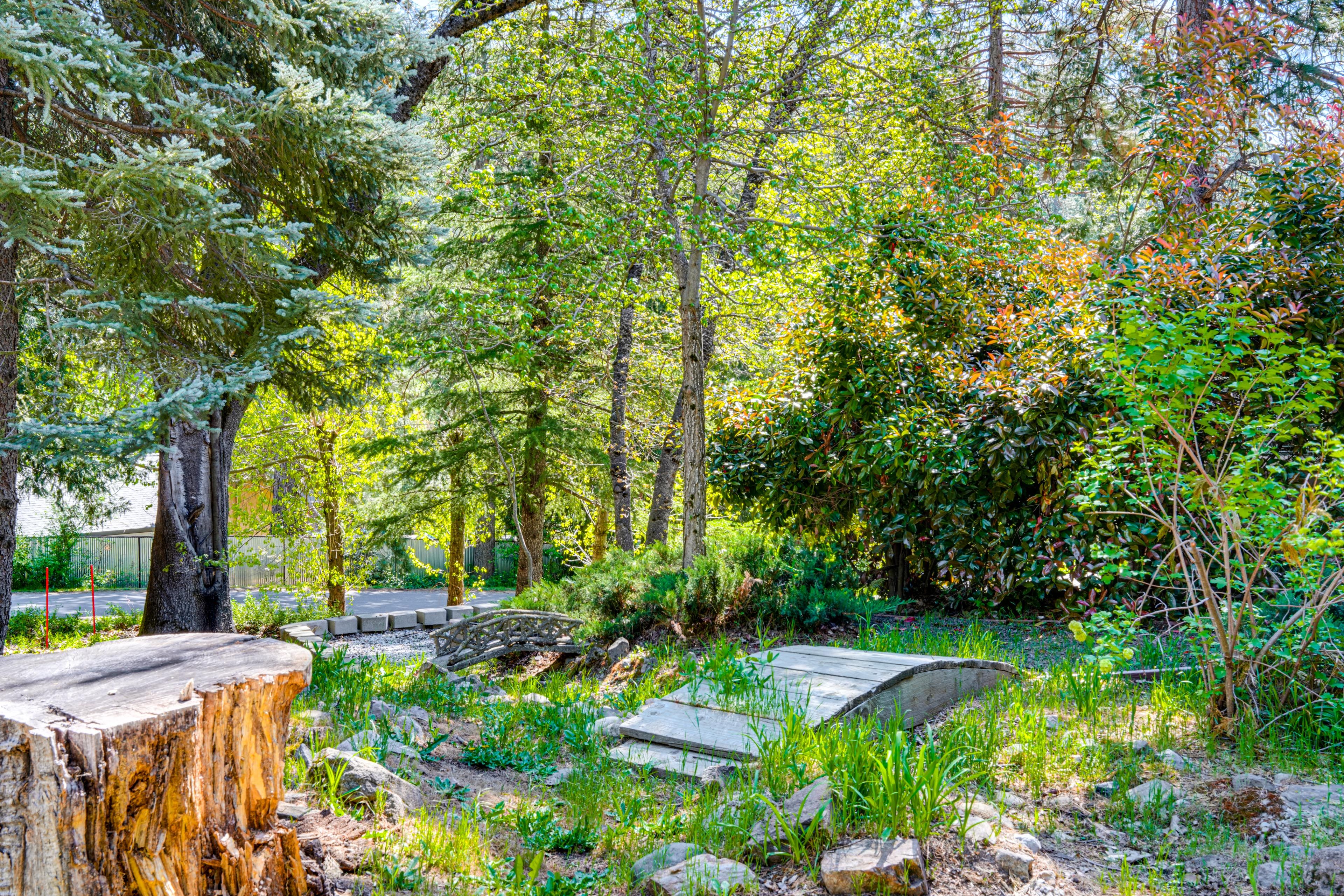 Private Yard | Fire Pit