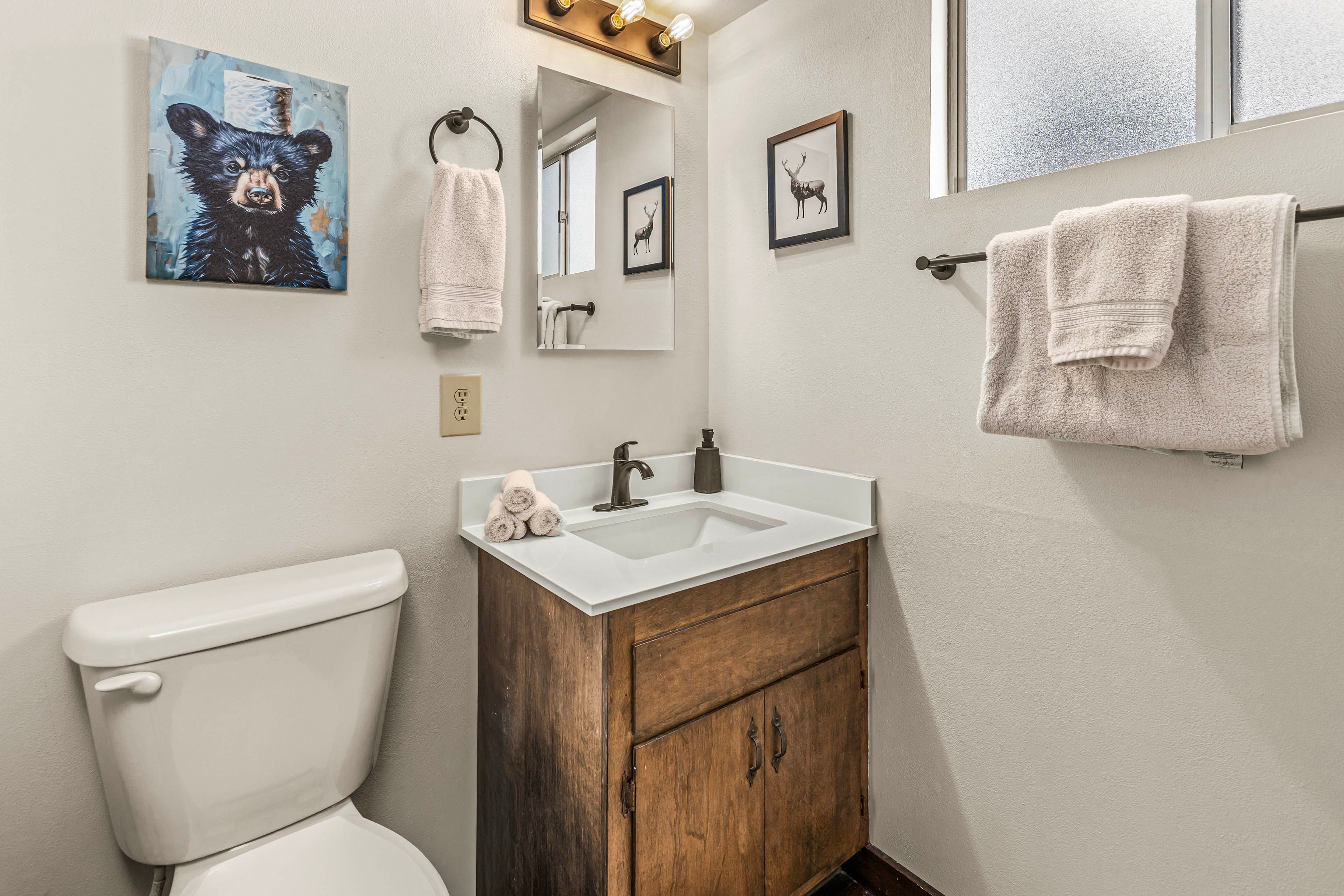Full Bathroom | Lower Level | Shower/Tub Combo | Complimentary Toiletries