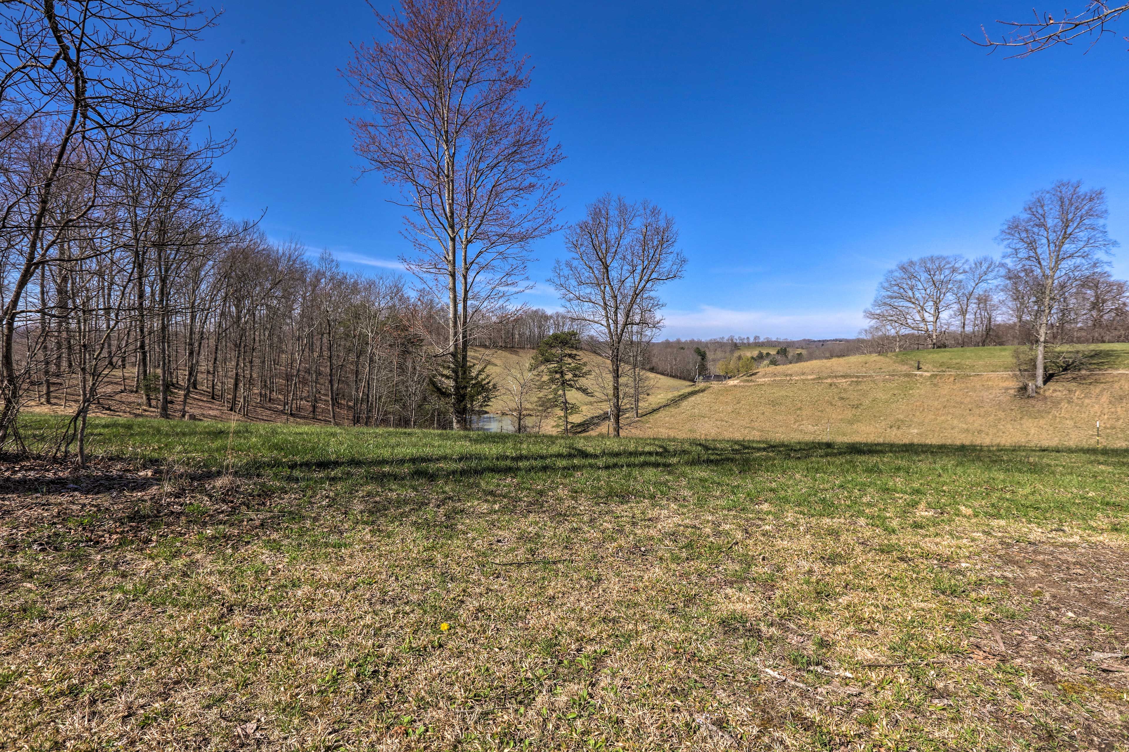 Landscape Views