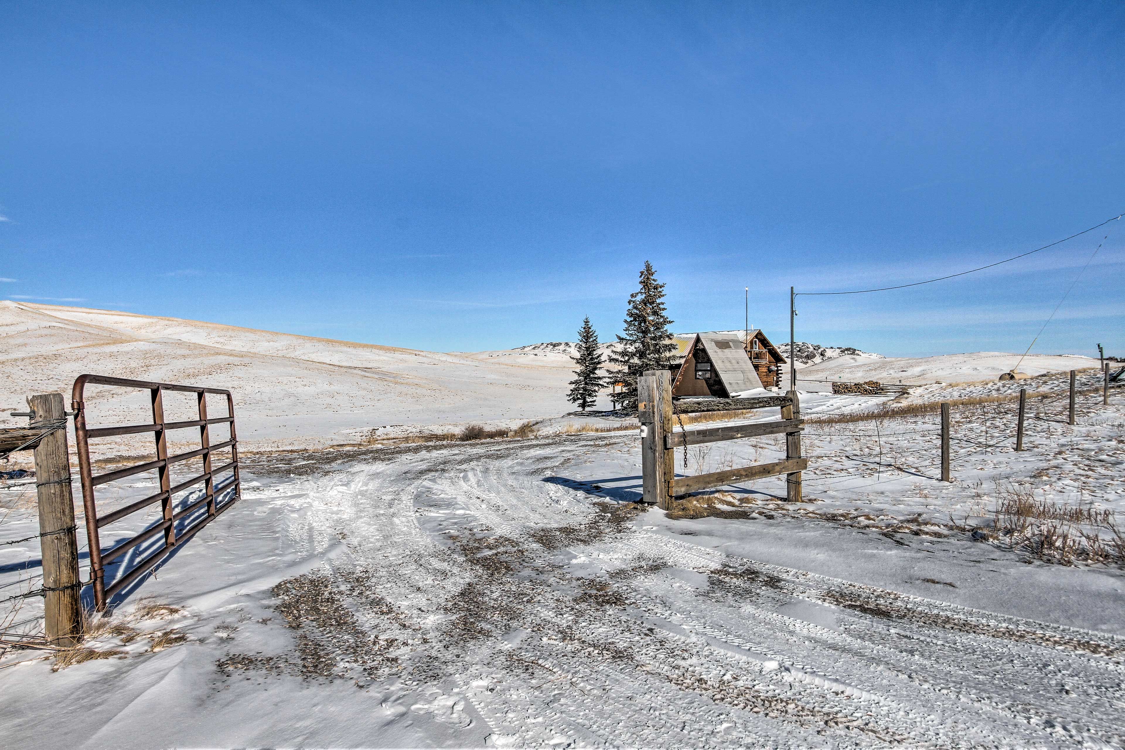 Driveway