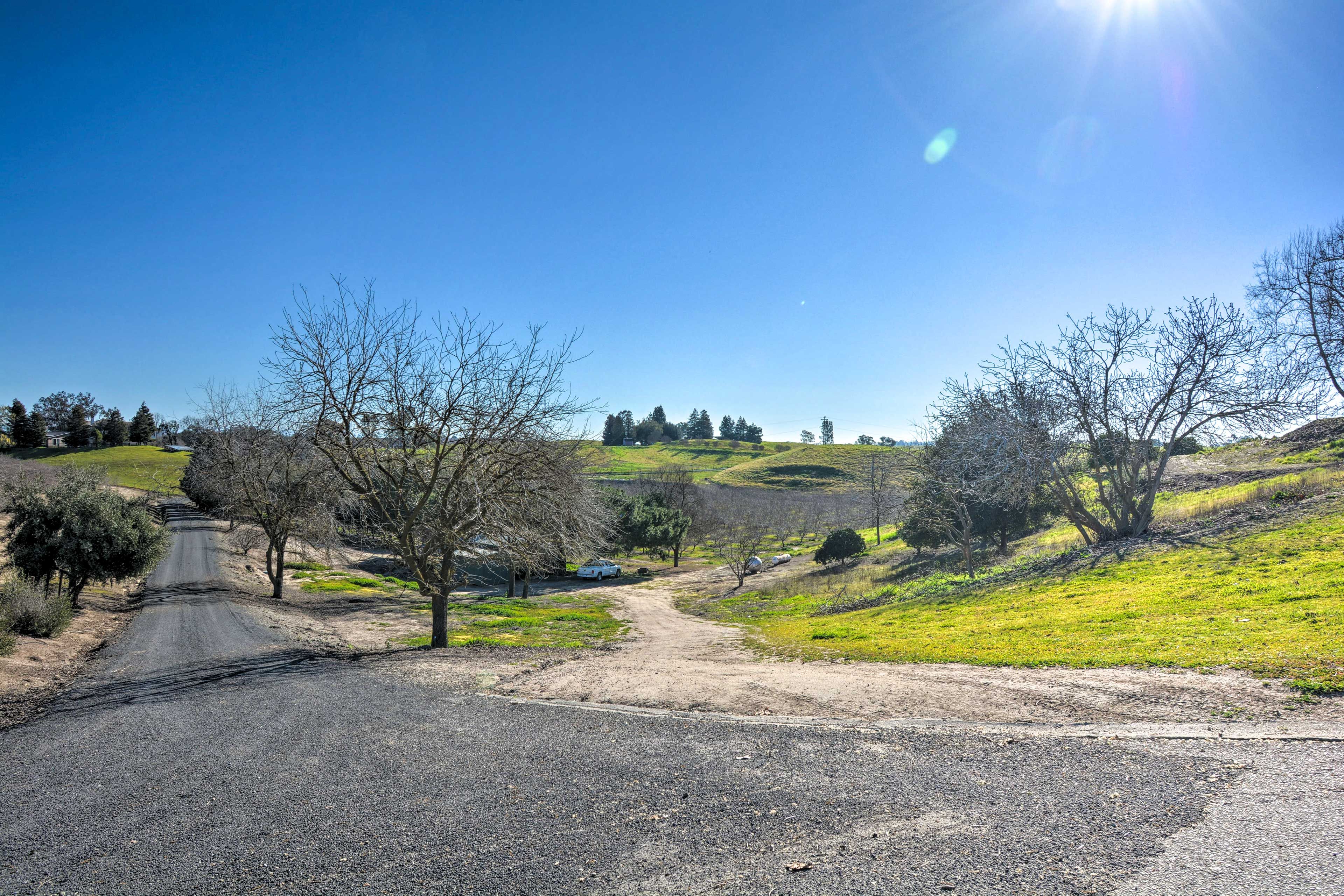 On-Site Almond Farm