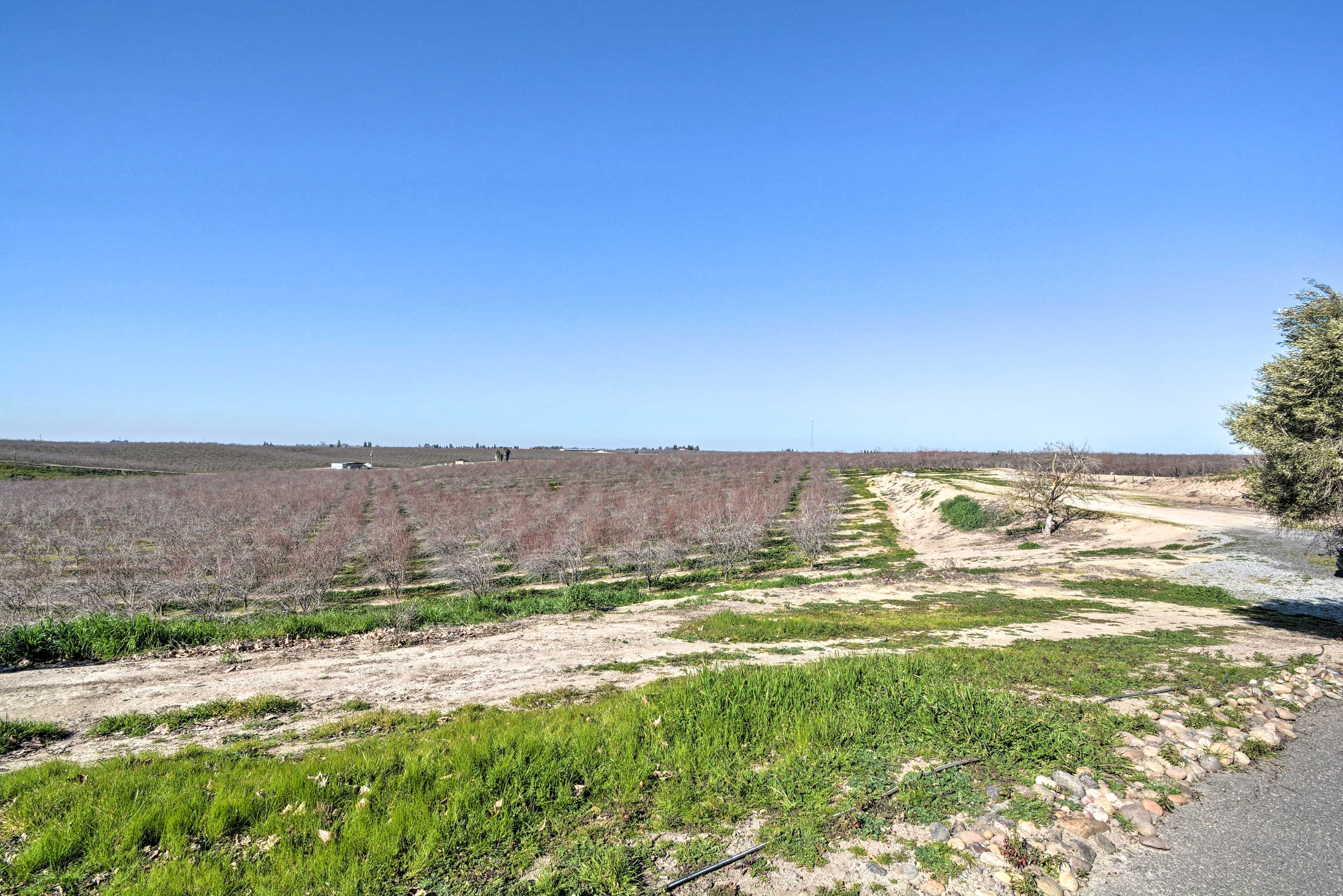 On-Site Almond Farm