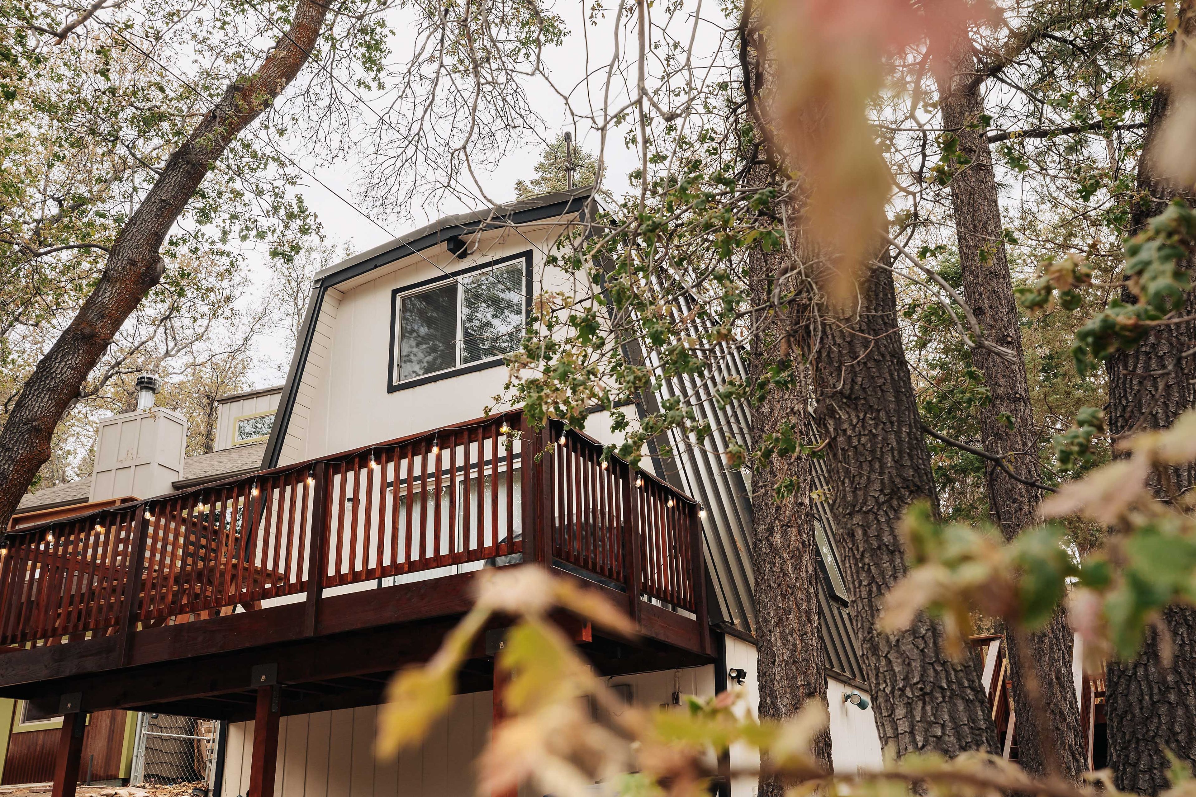 Cabin Exterior