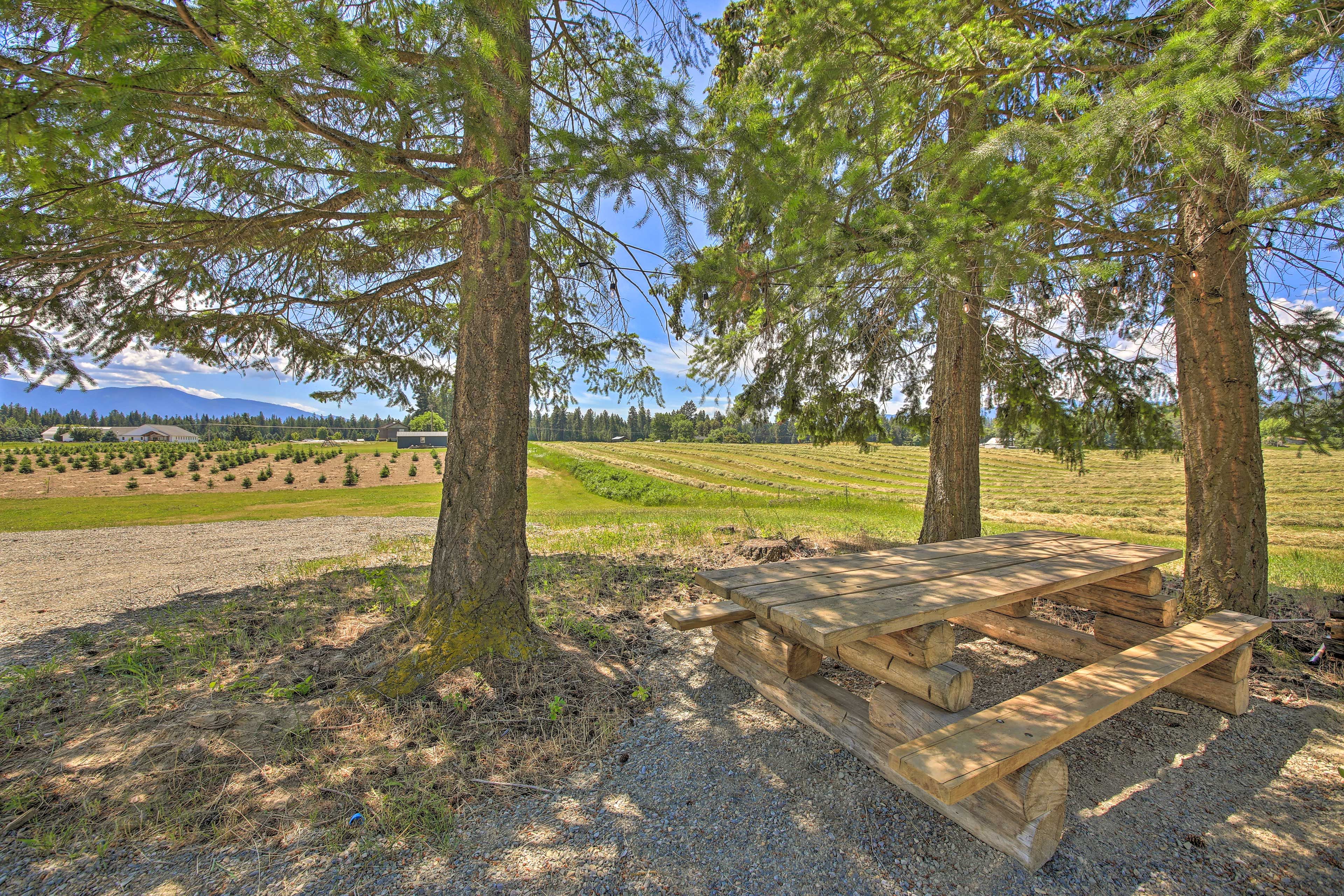 Outdoor Space