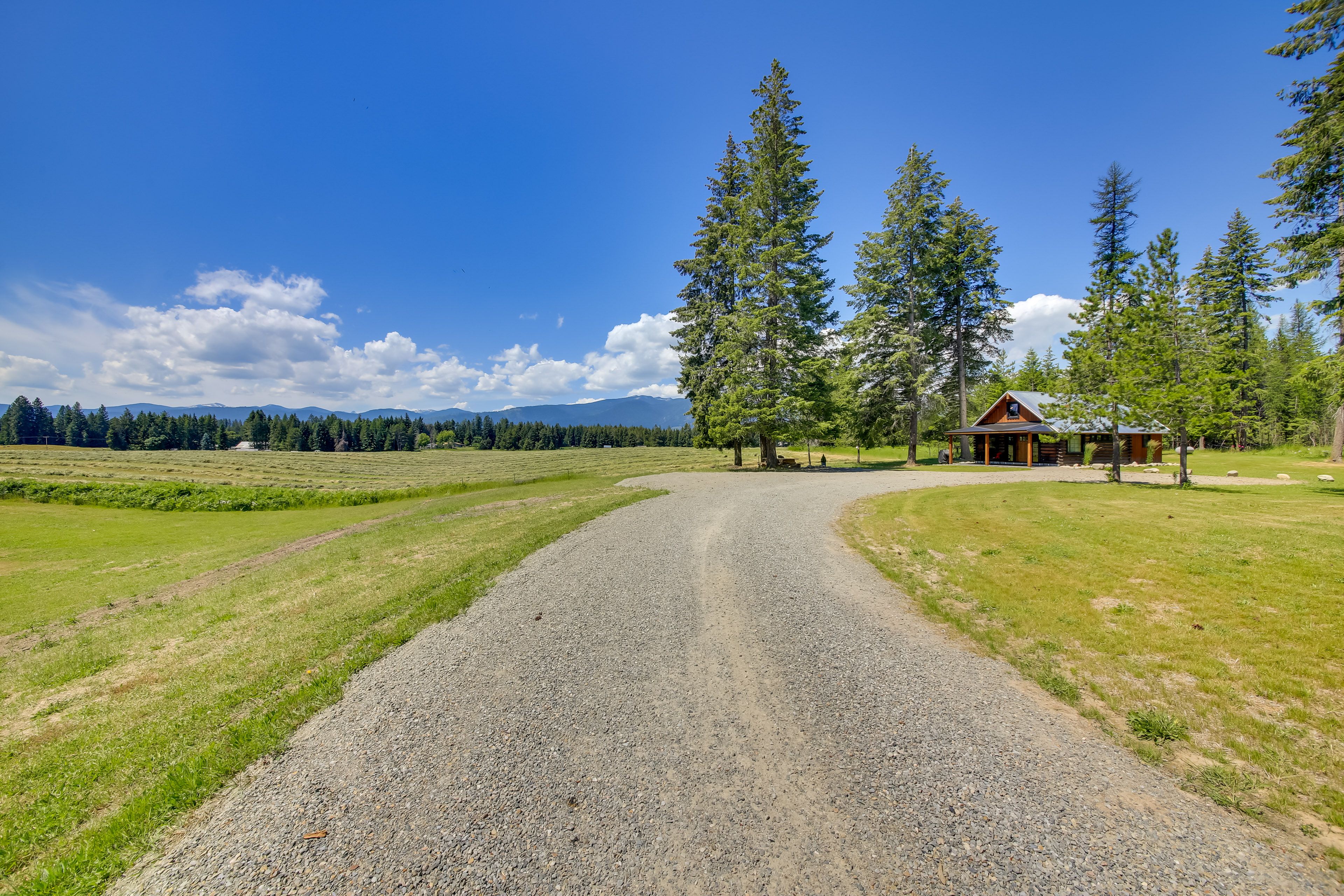 Forest & Mountain Views