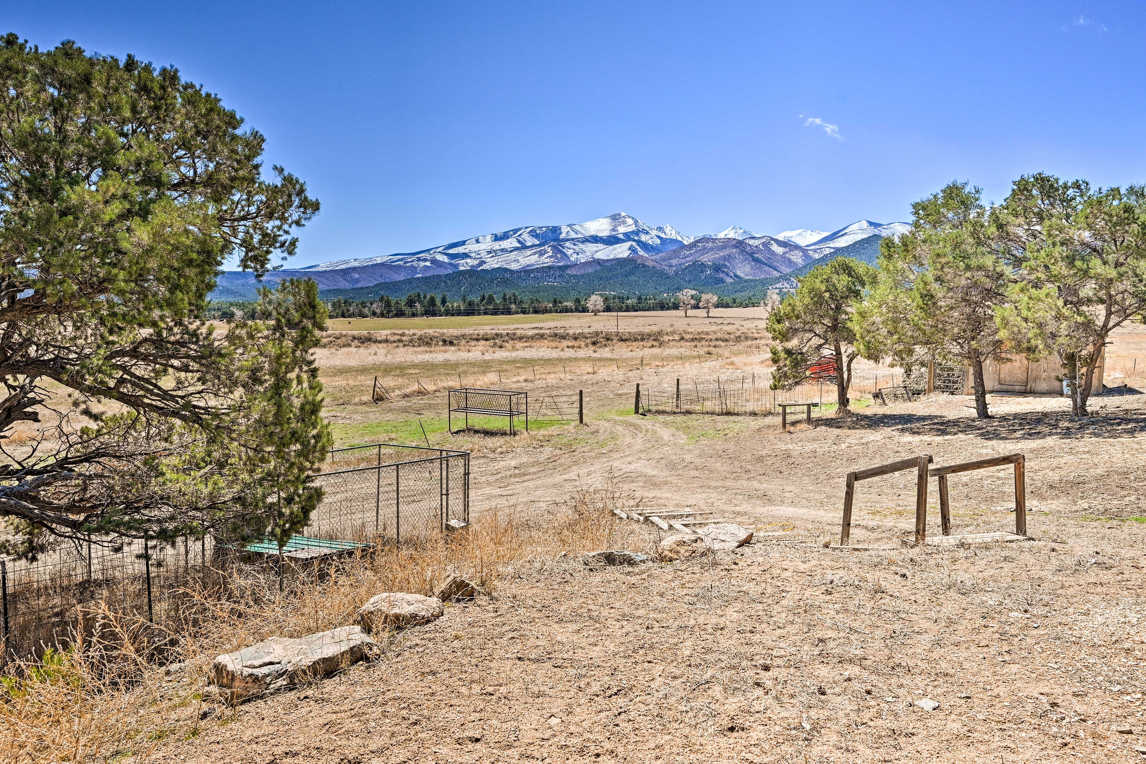 Property Views