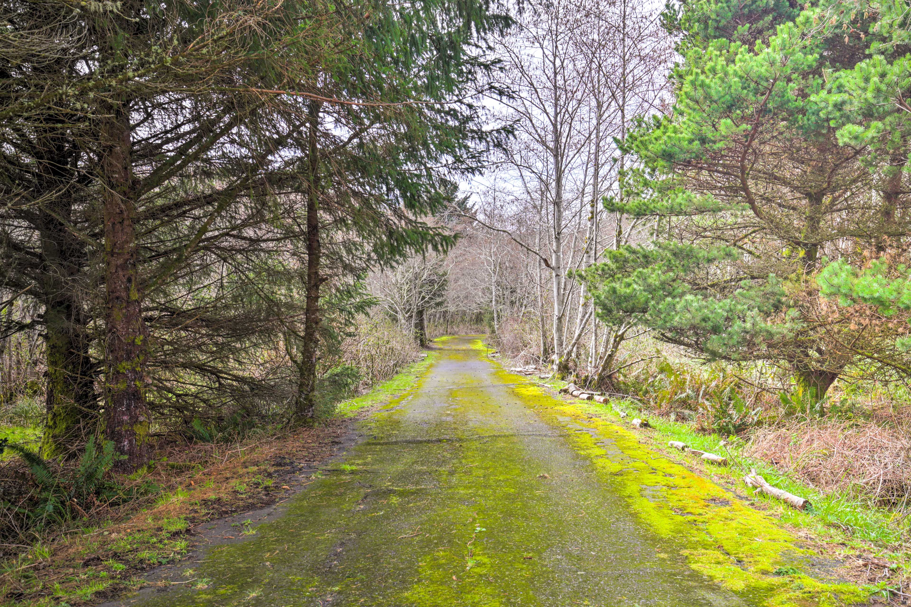 Blue Heron Trail (On-Site)