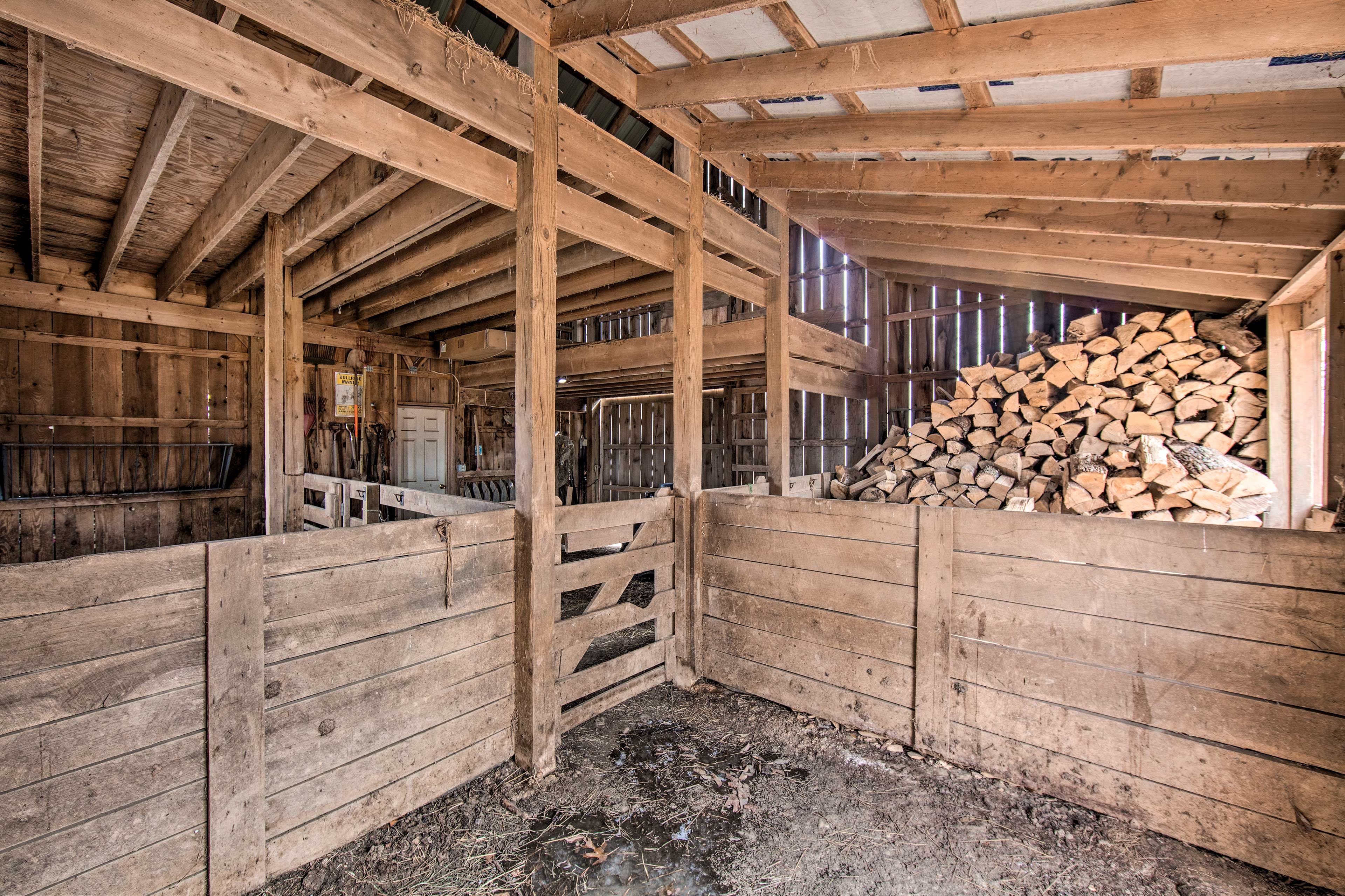 Horse Stables