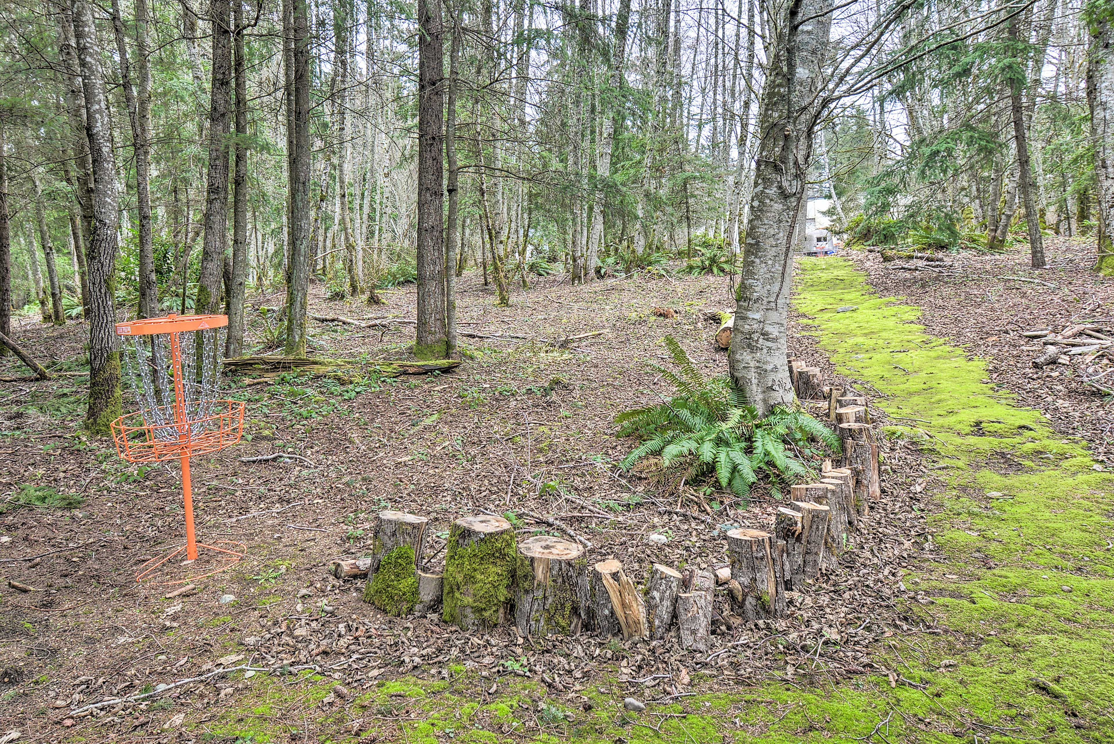 Disc Golf Basket