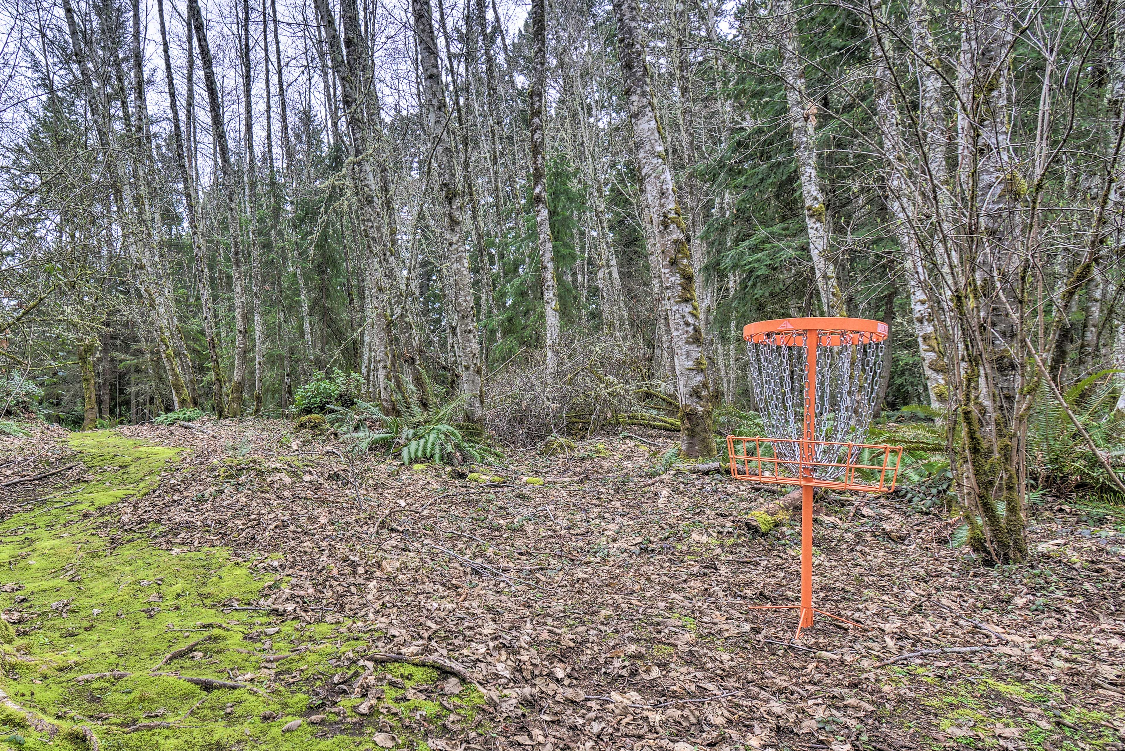 Disc Golf Basket