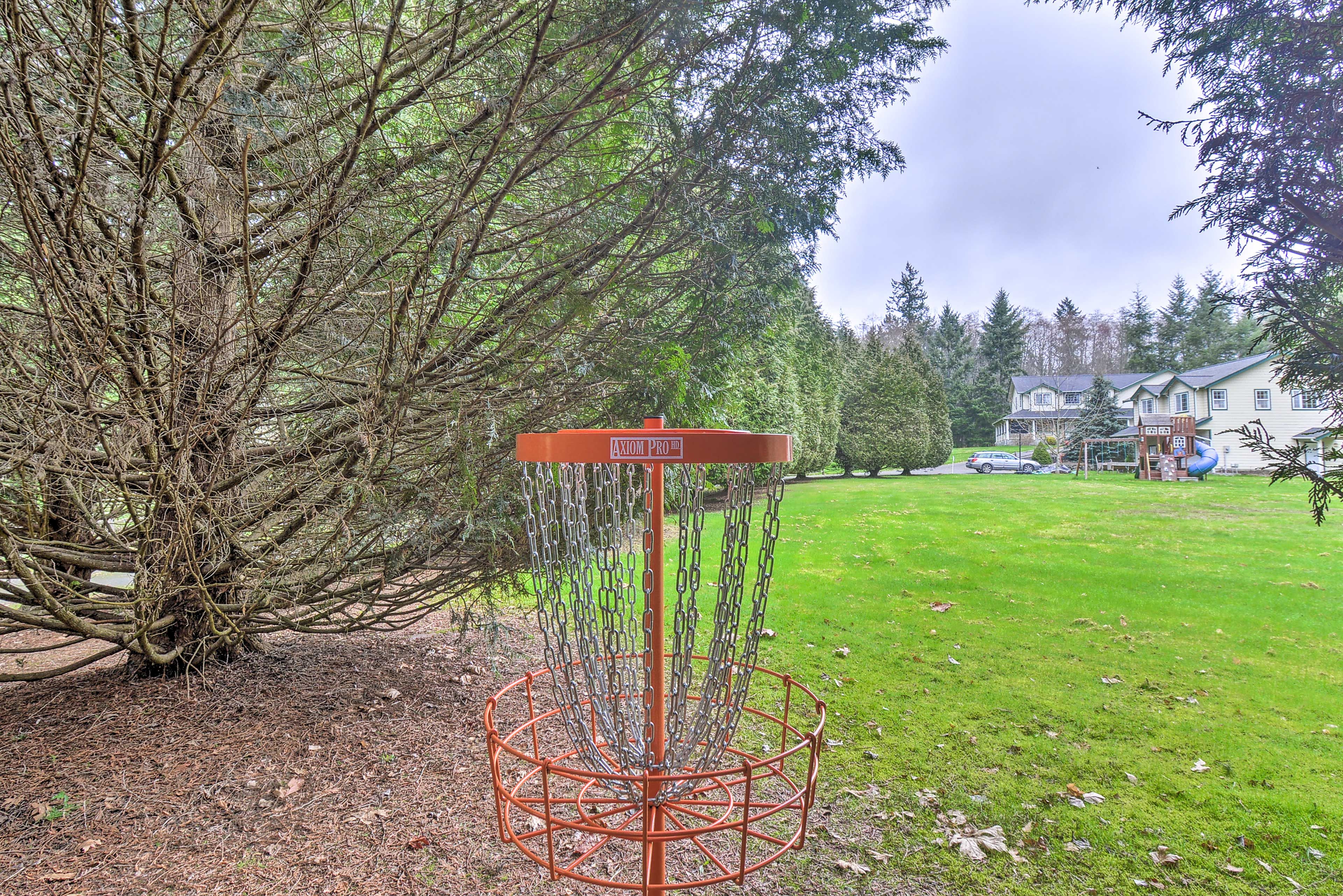Disc Golf Basket
