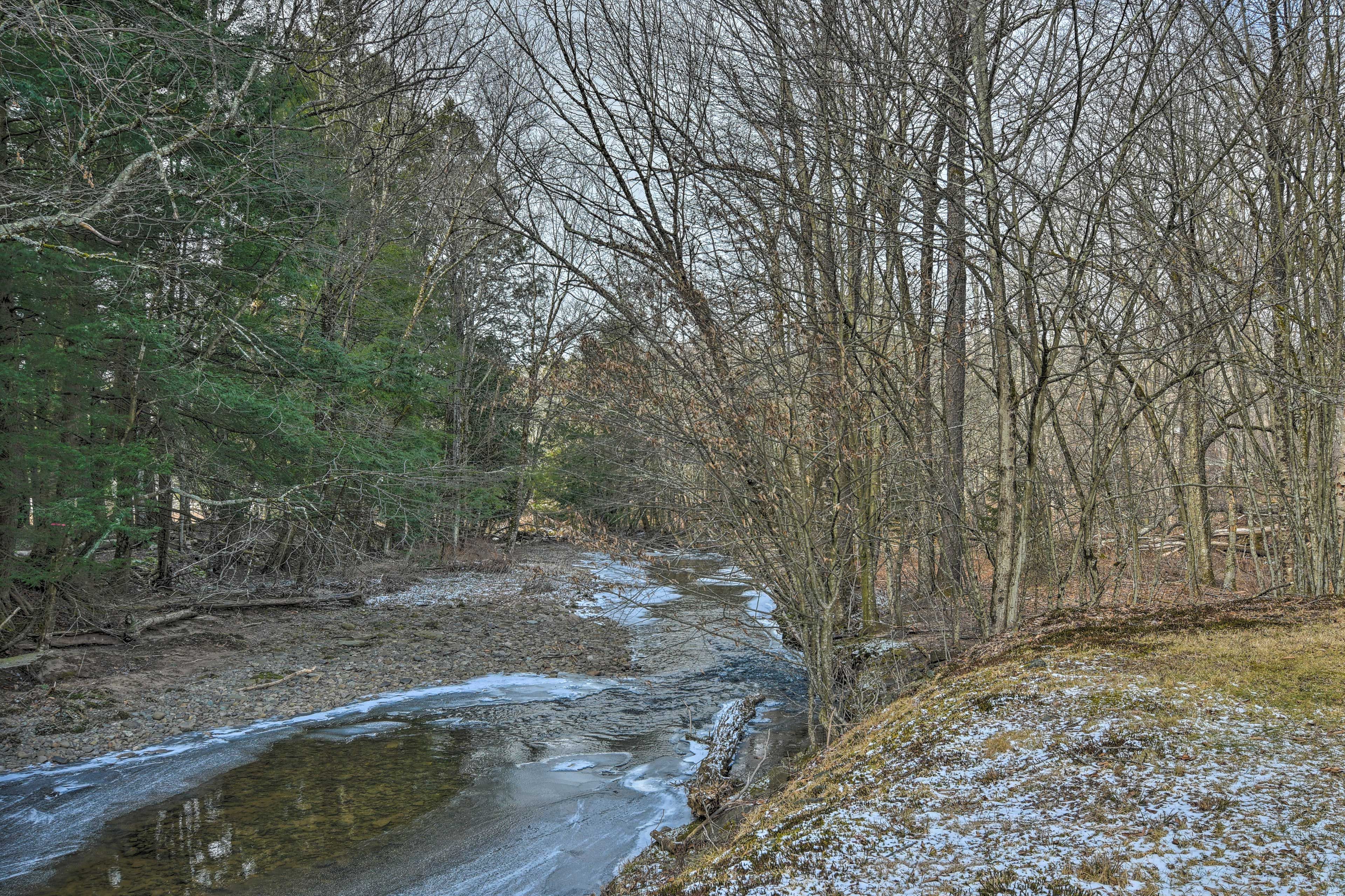 Property Surroundings | Creek On-Site