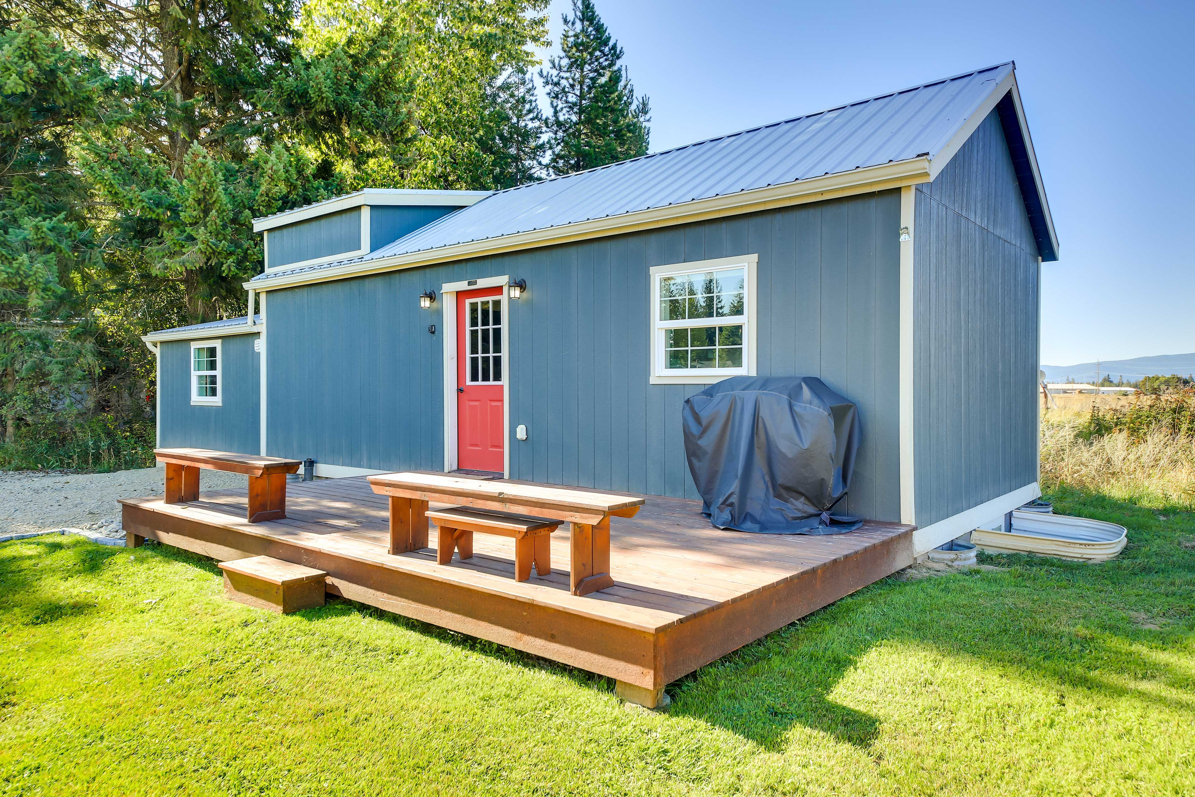 Deck | Gas Grill