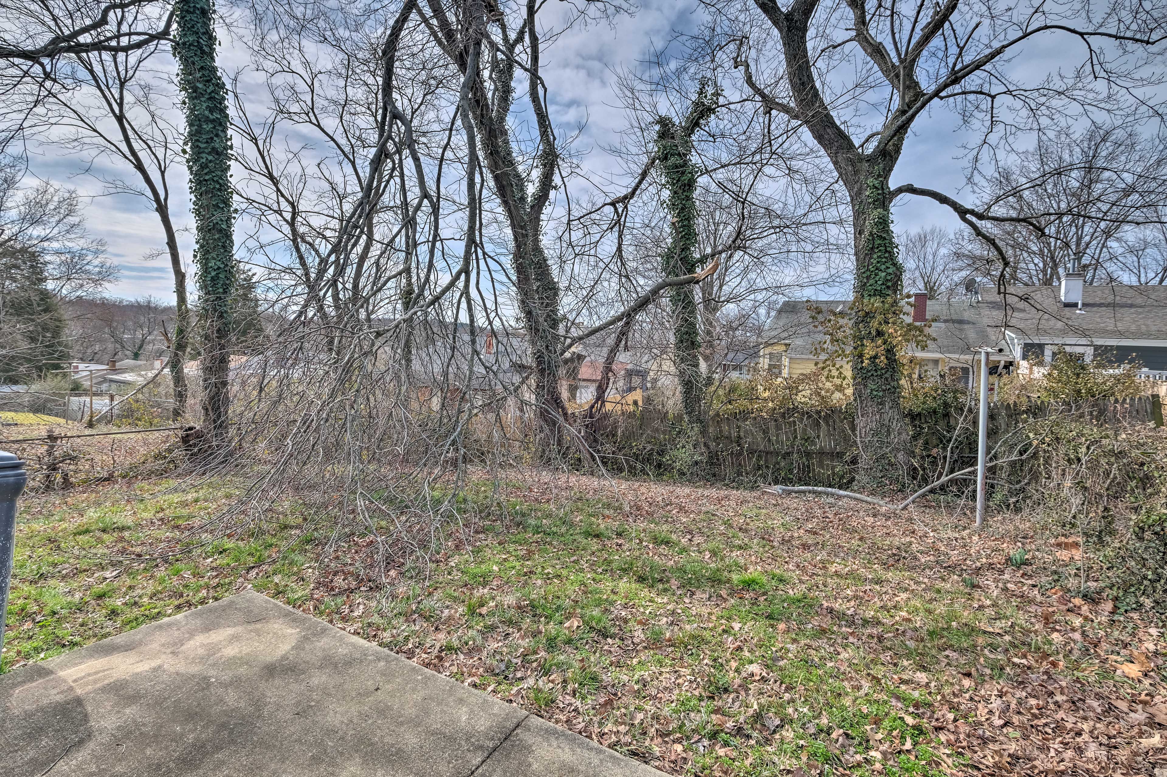 Backyard