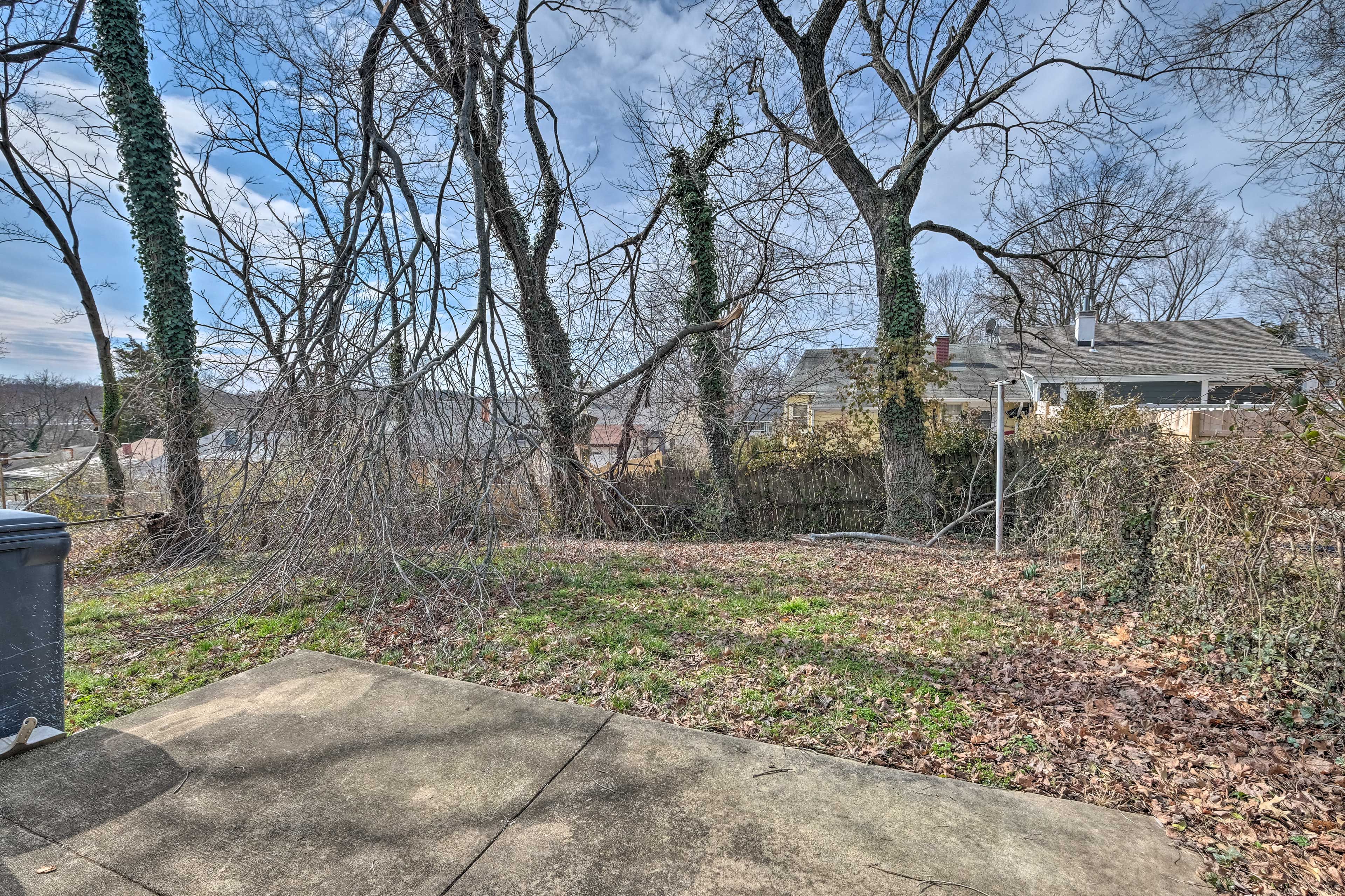 Backyard