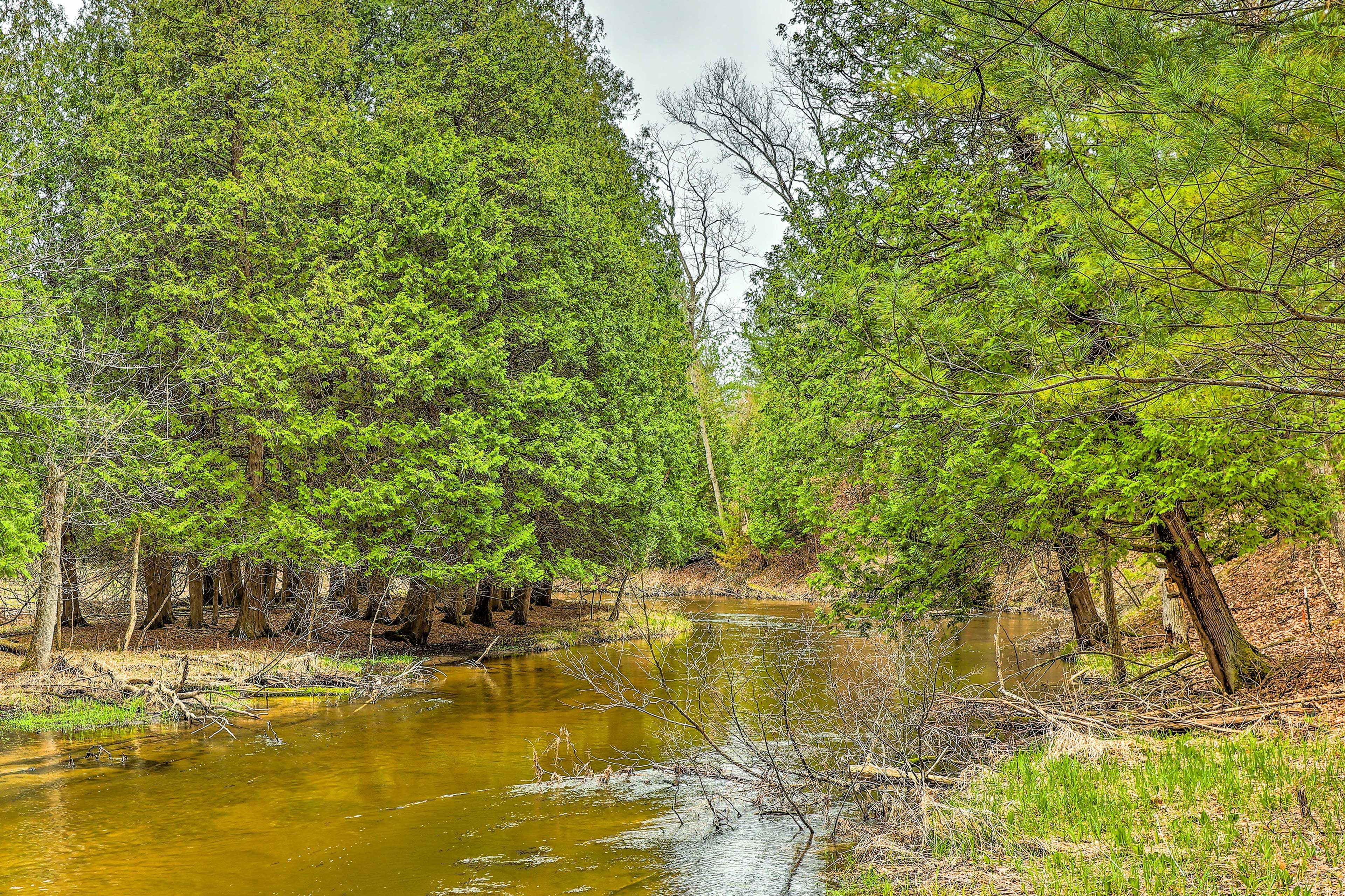 Little Manistee River