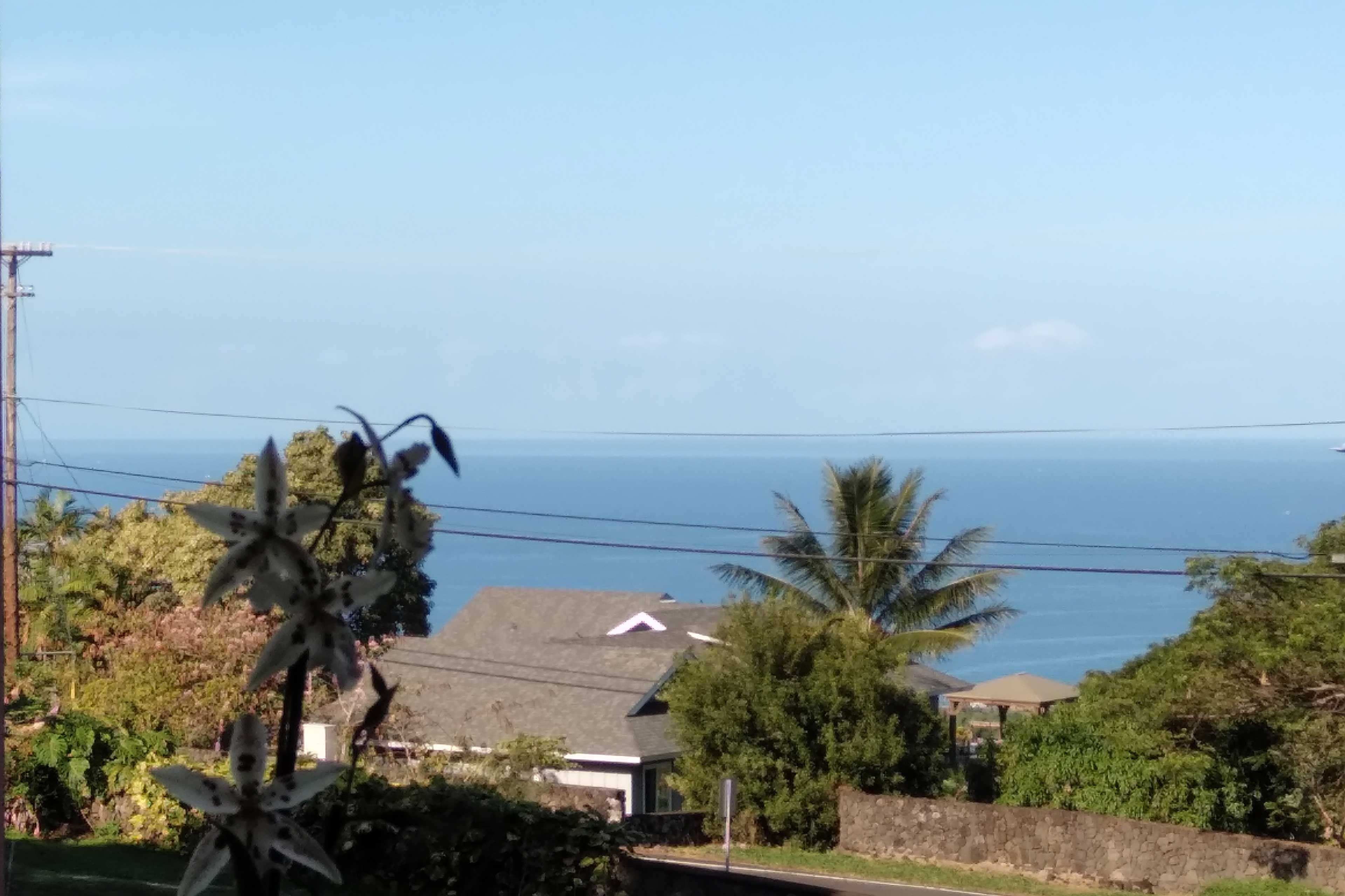 View From Deck