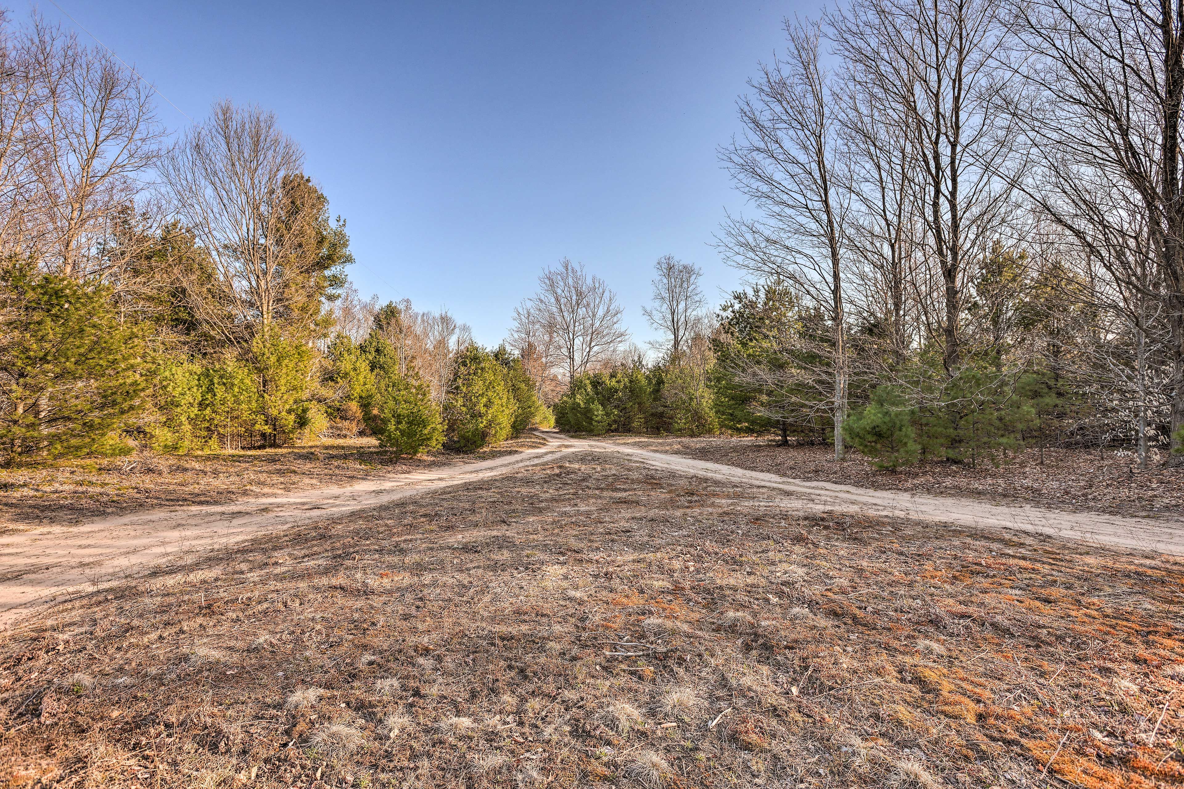 Spacious Yard