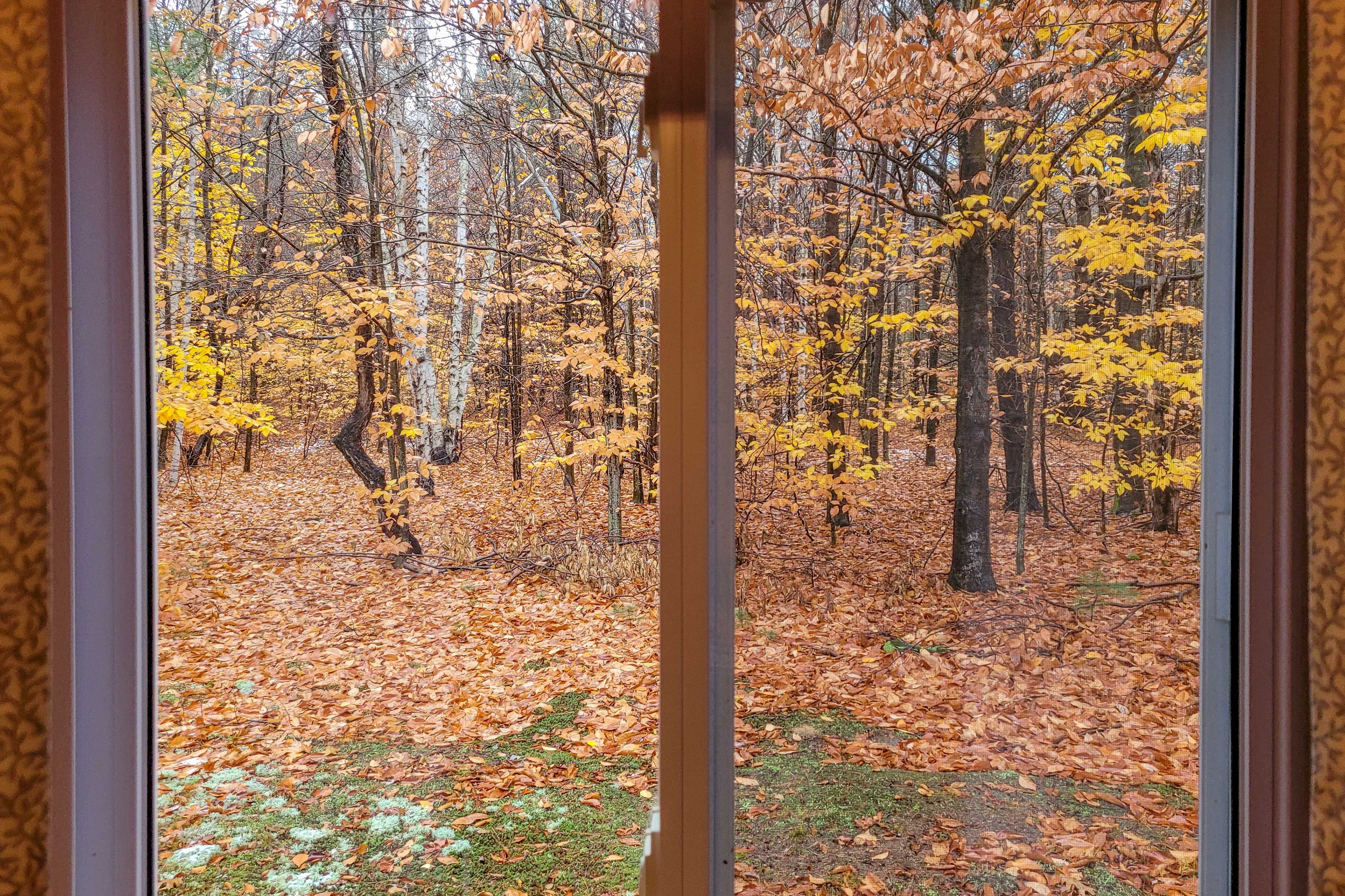 Interior Views