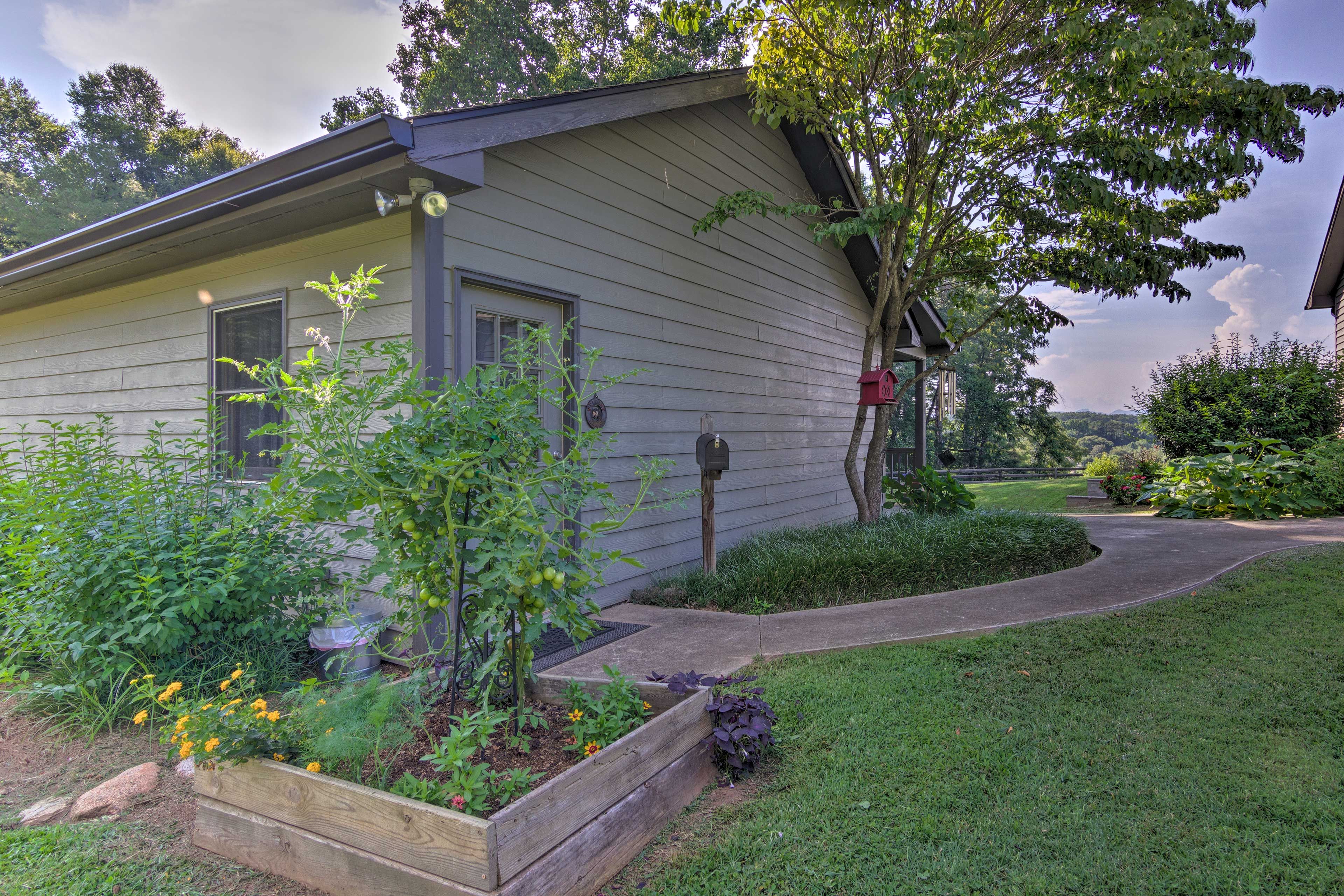 Entrance | Garden