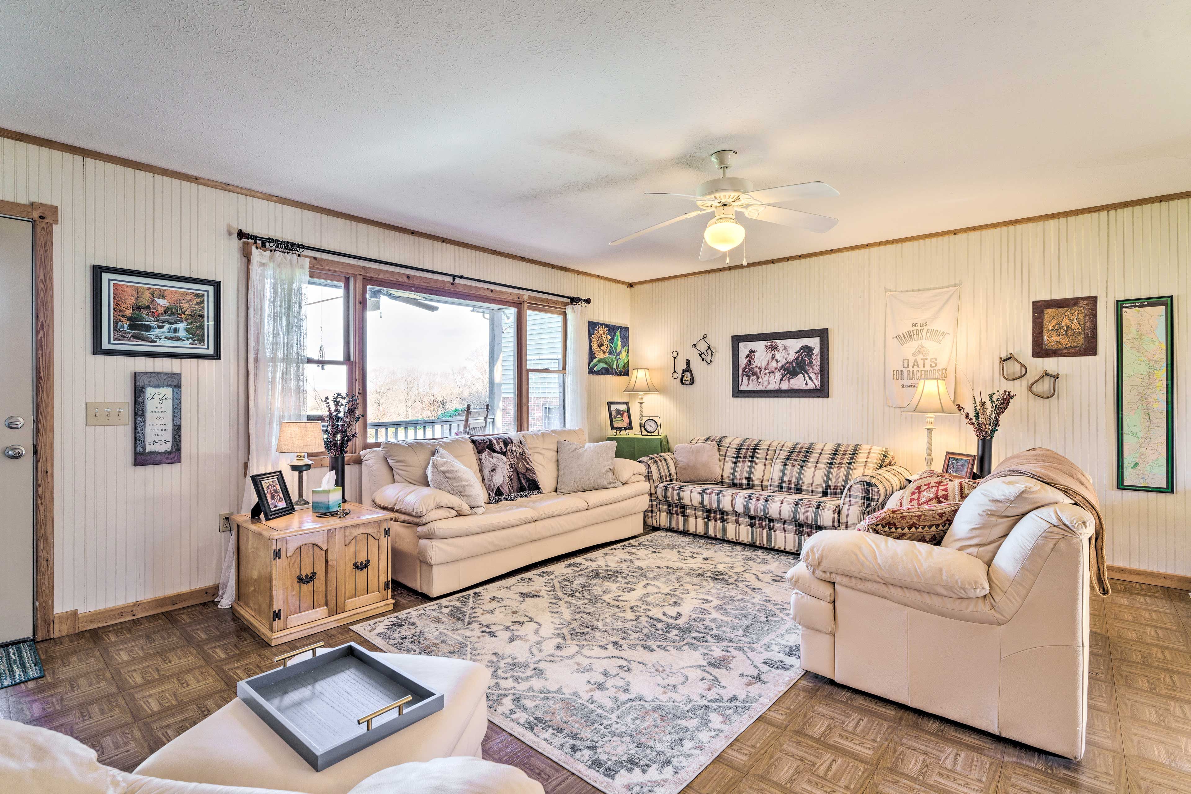Living Room | Sleeper Sofa | New Furnishings