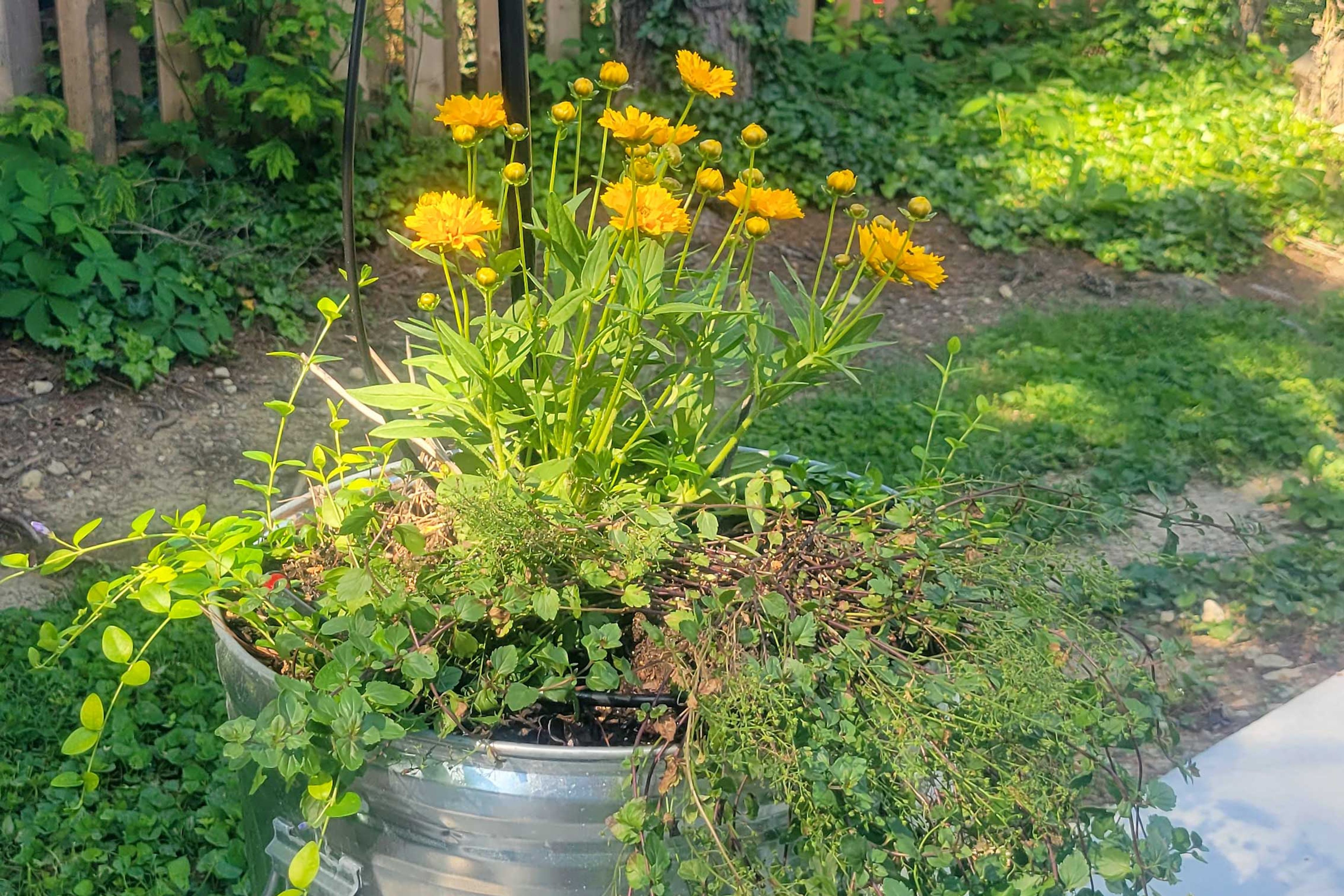 Outdoor Space