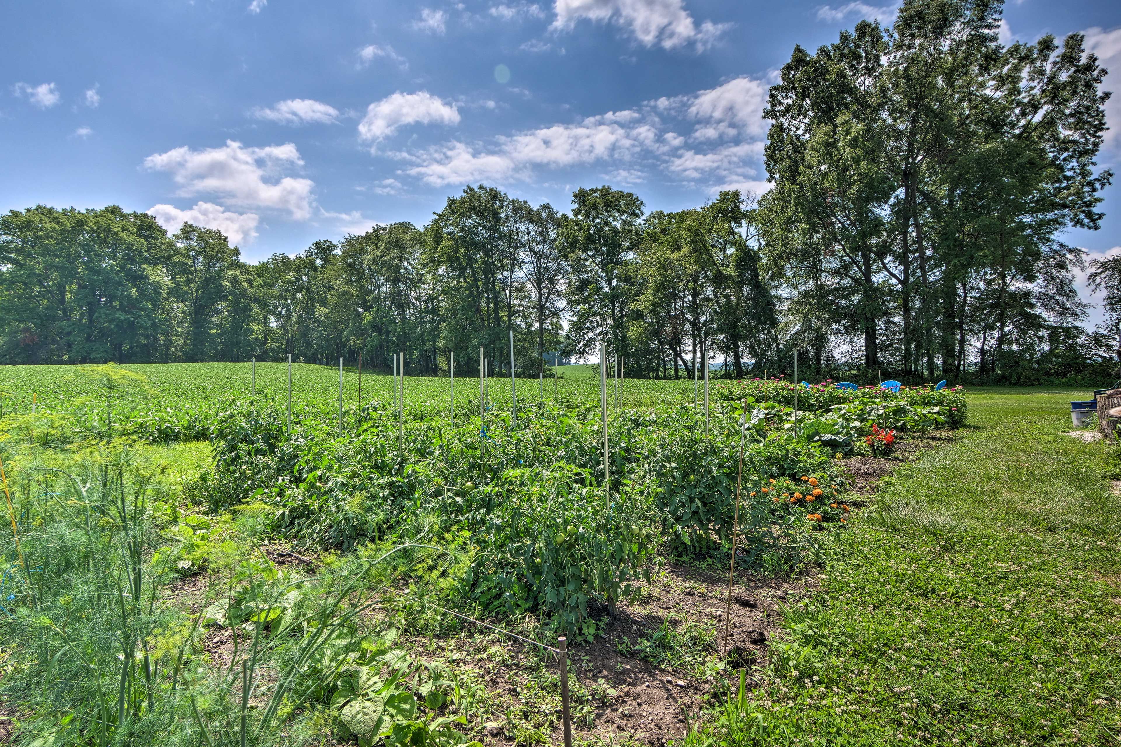 Farmland