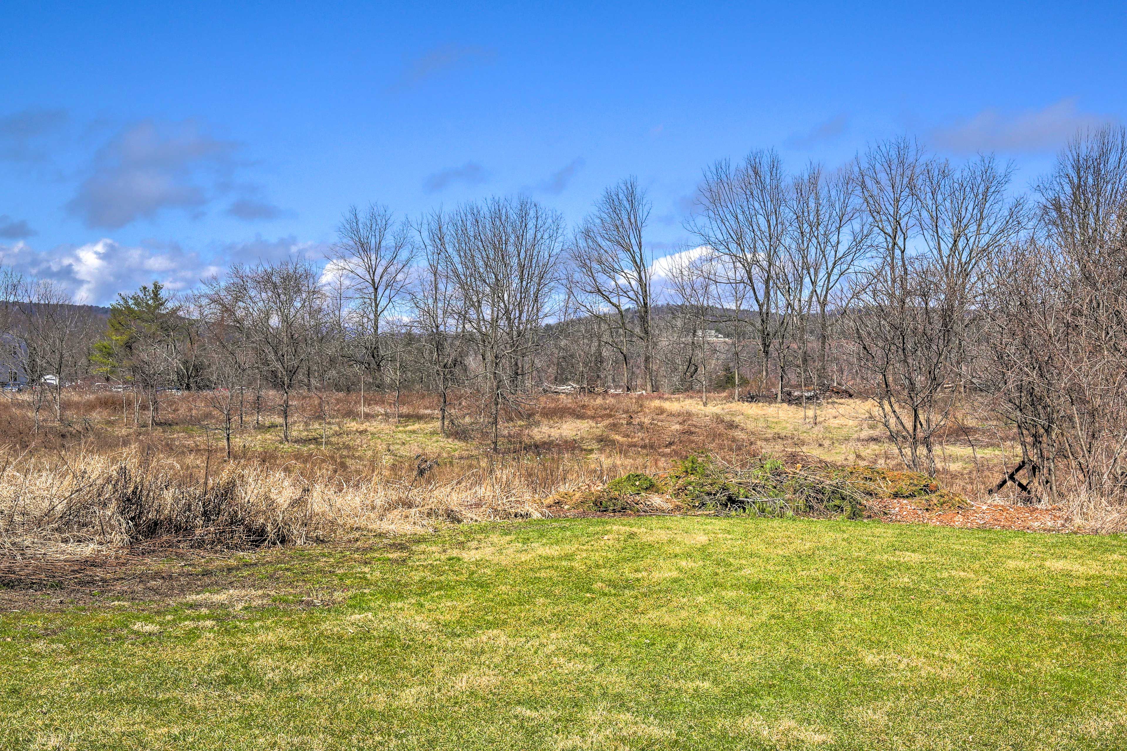 Backyard