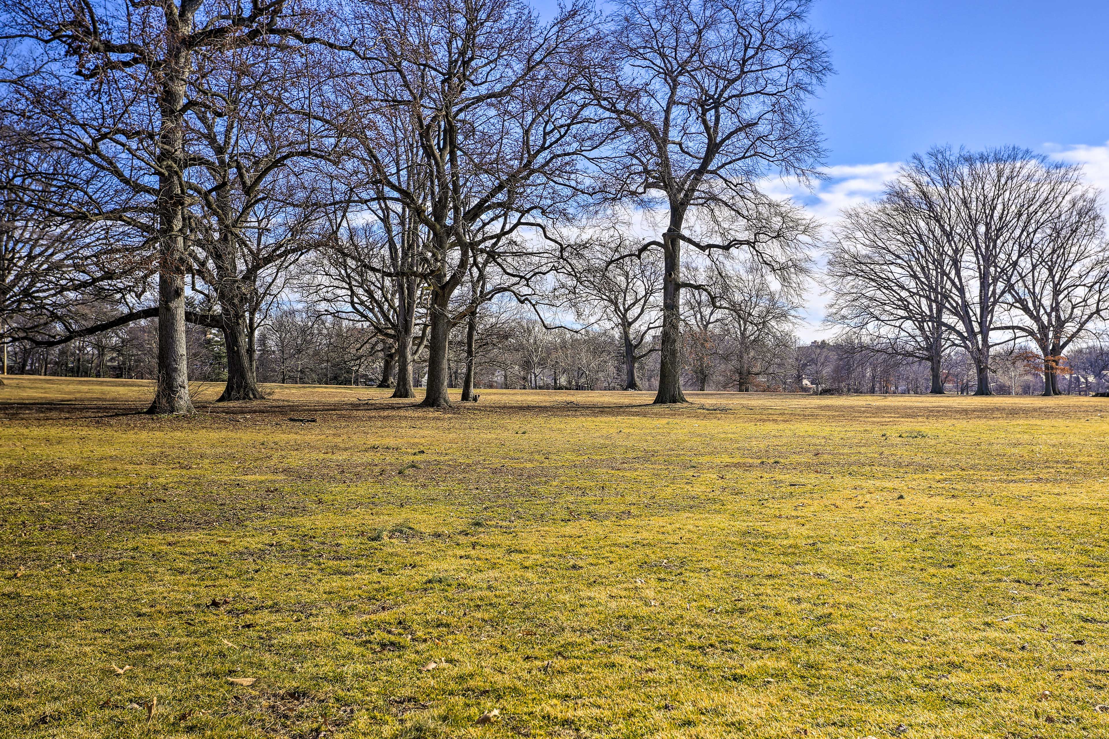 Branch Brook Park (1 Block Away)