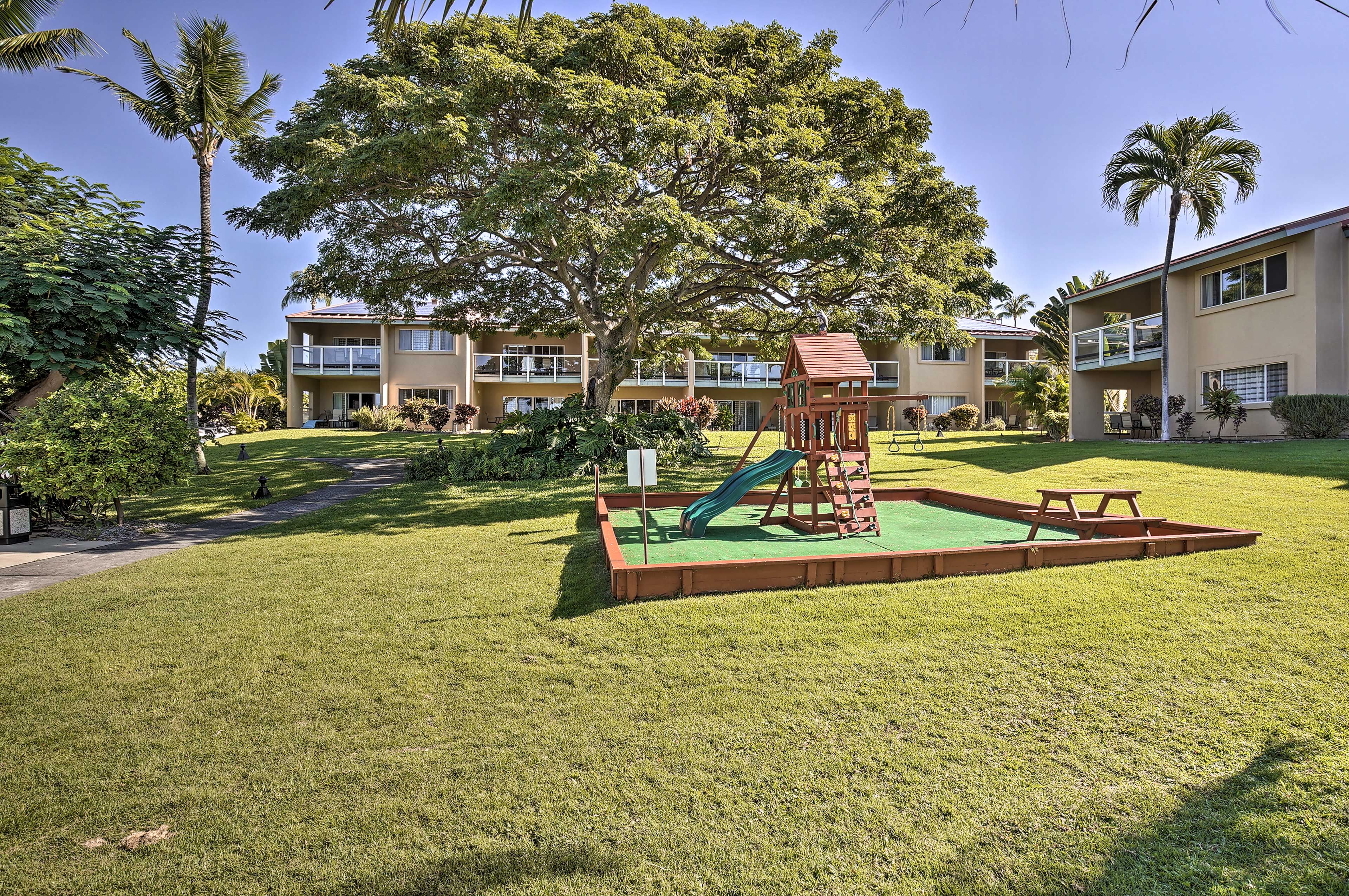 Community Amenities