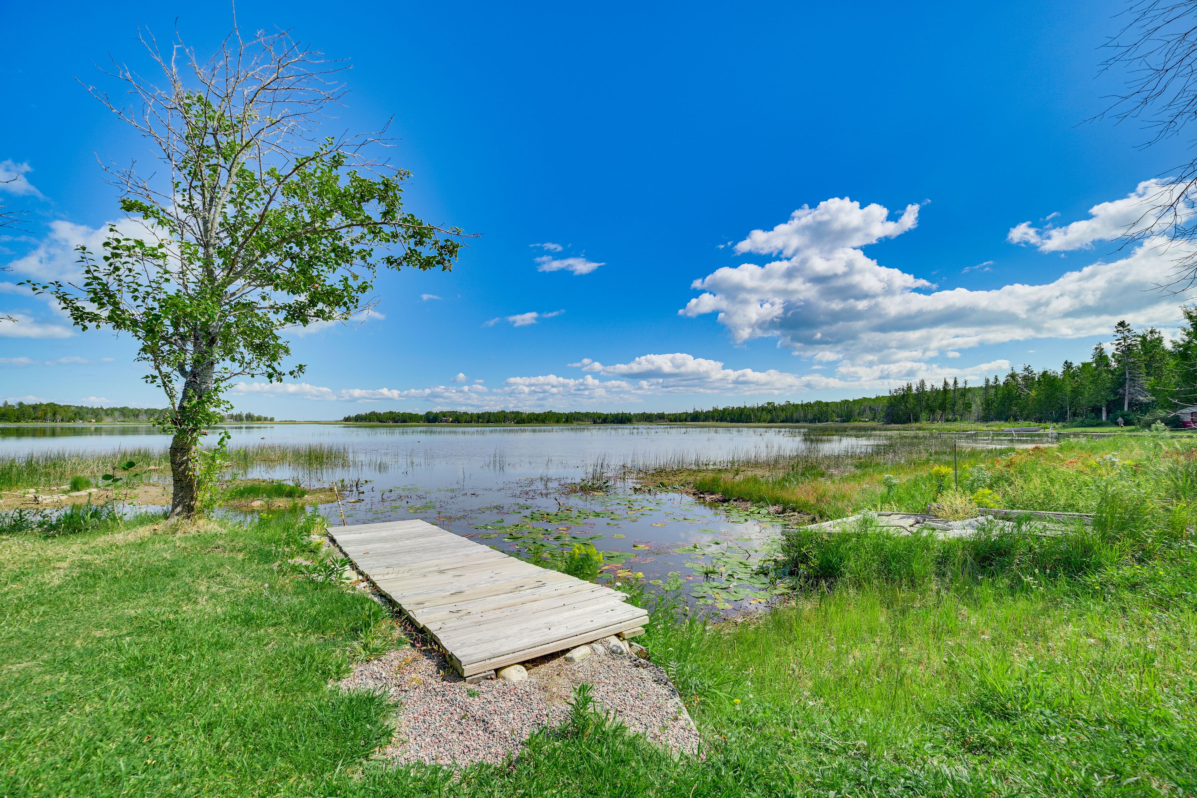 Image 21