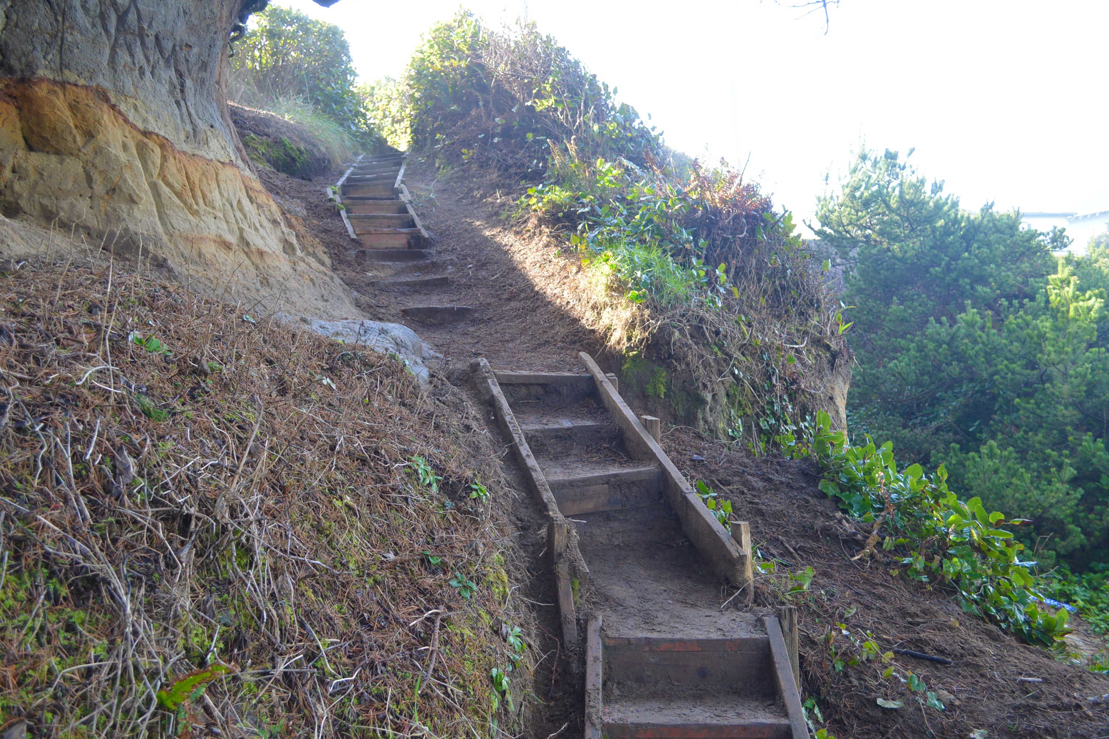 On-Site Path to Beach