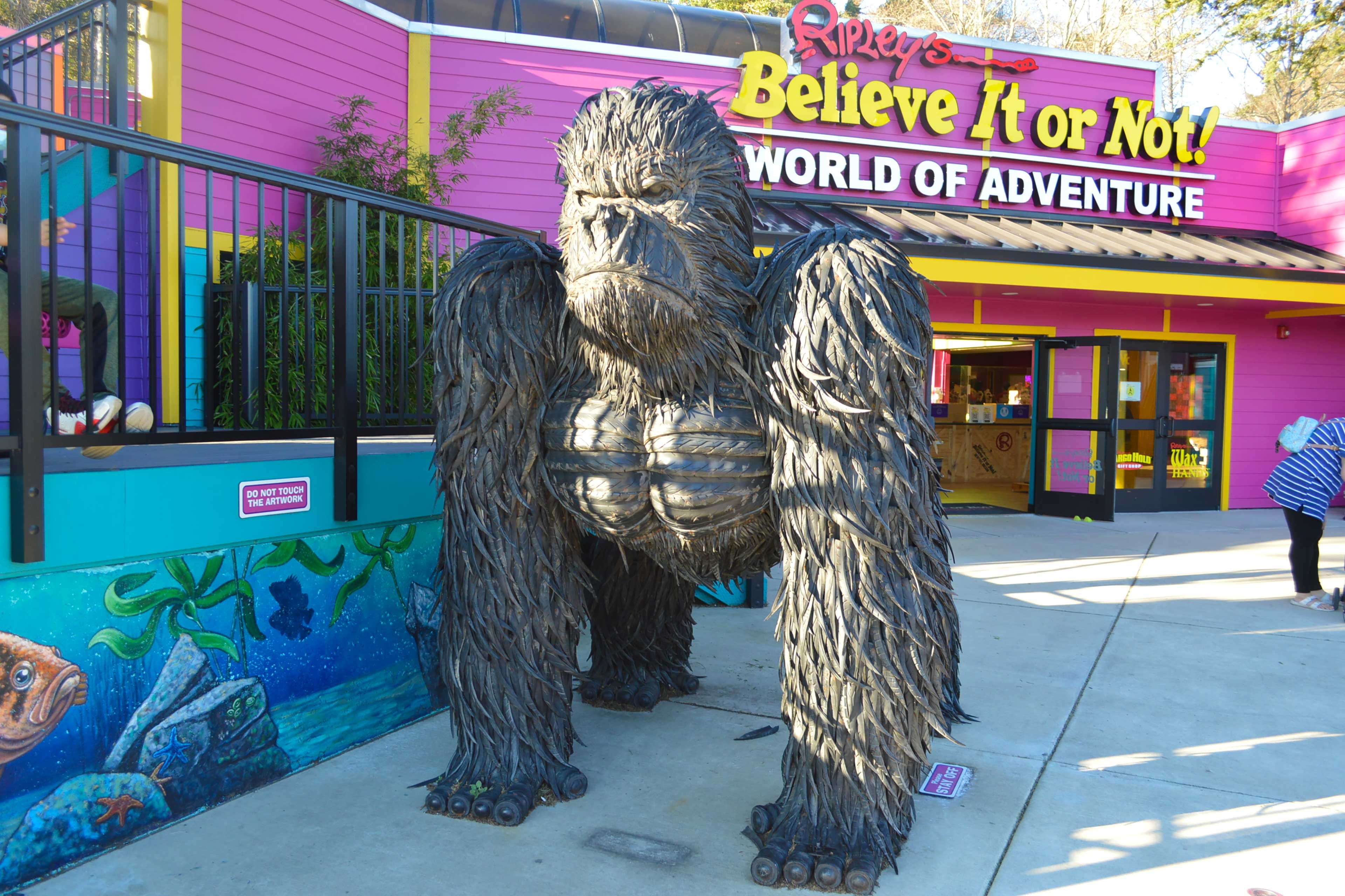 Local Attraction | Ripley's Believe It or Not