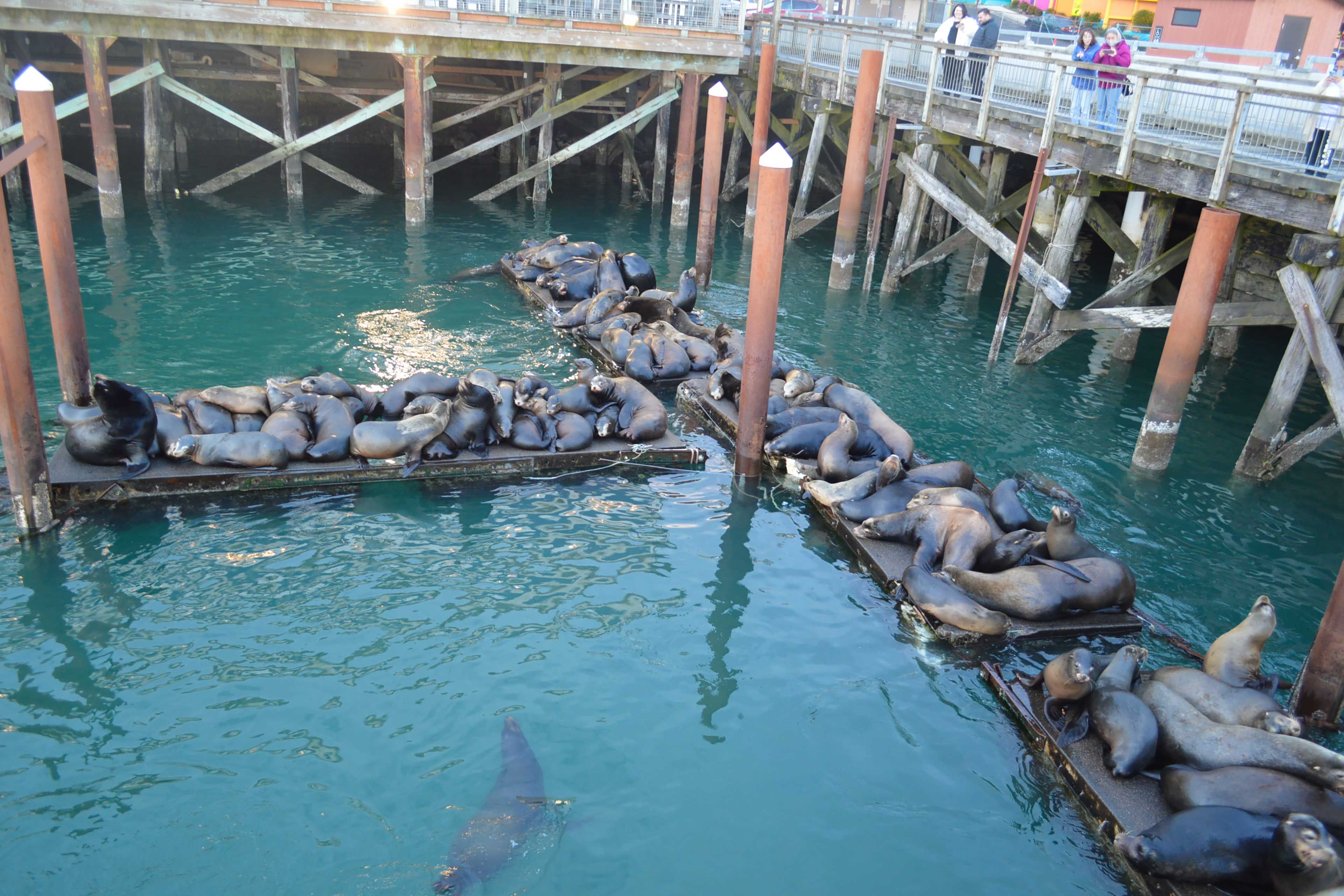 Local Attraction