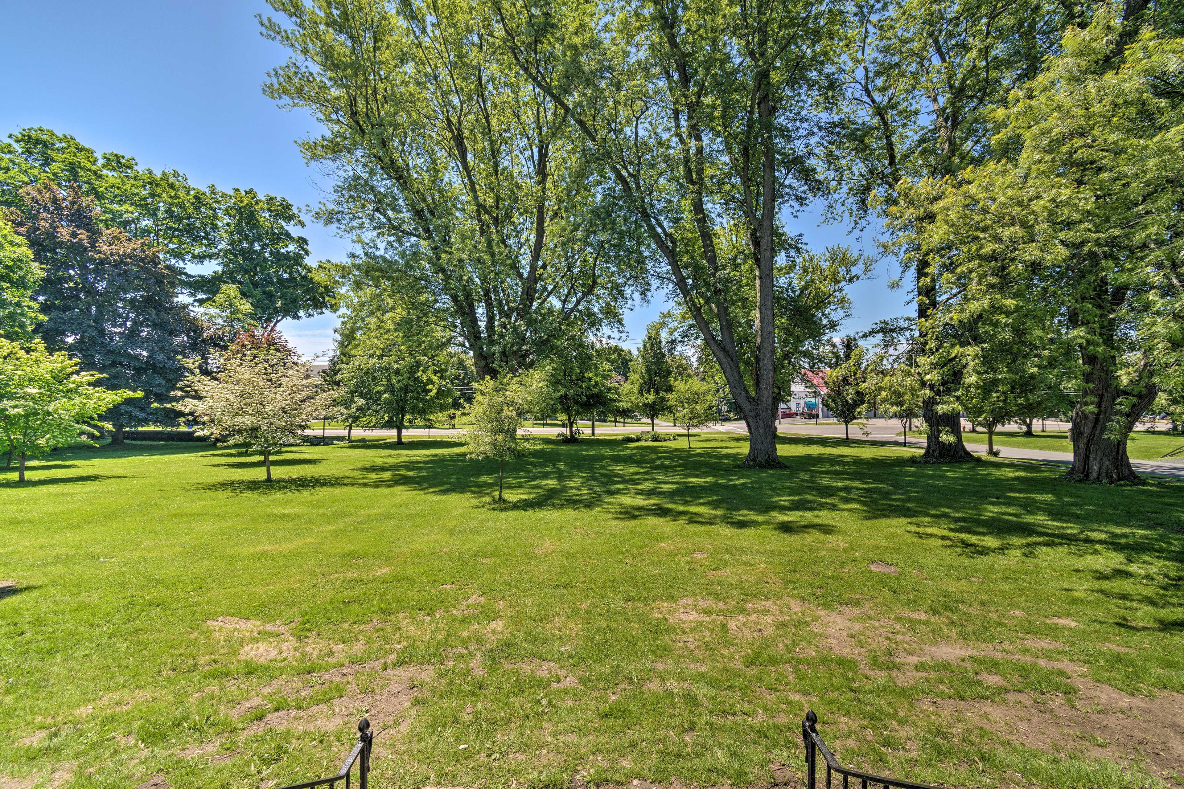 Front Yard