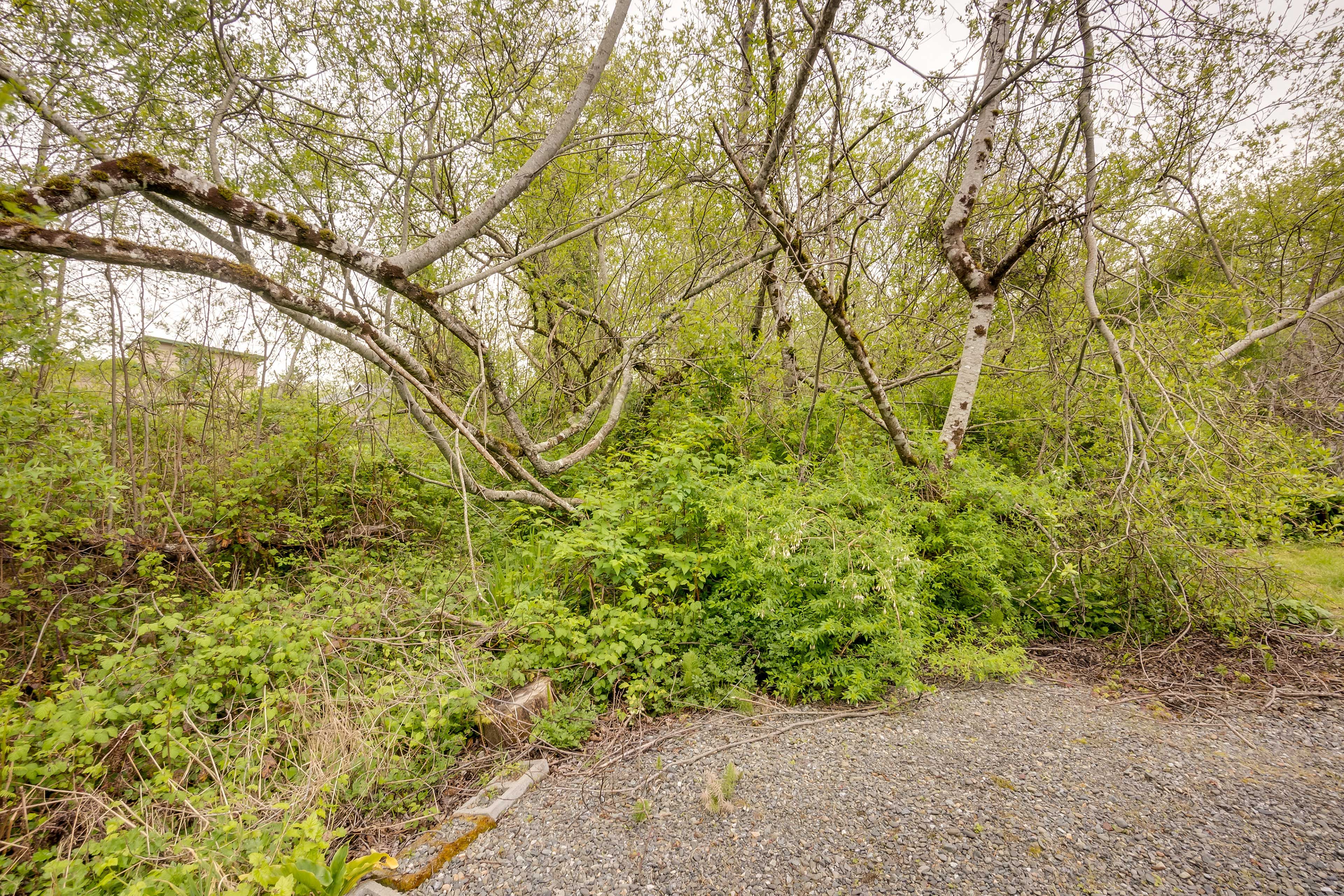 Surrounding Nature