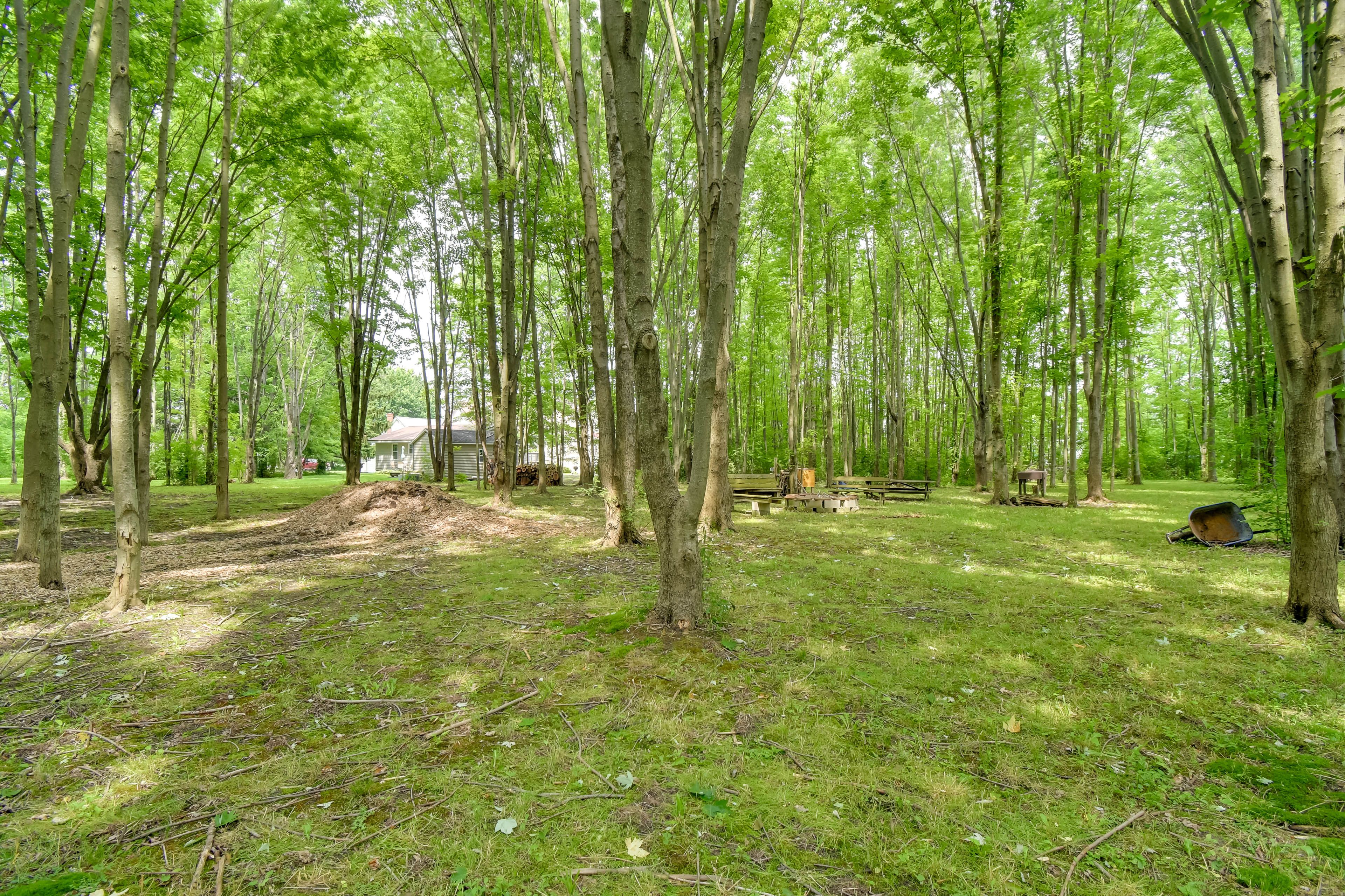 Shared Picnic Area
