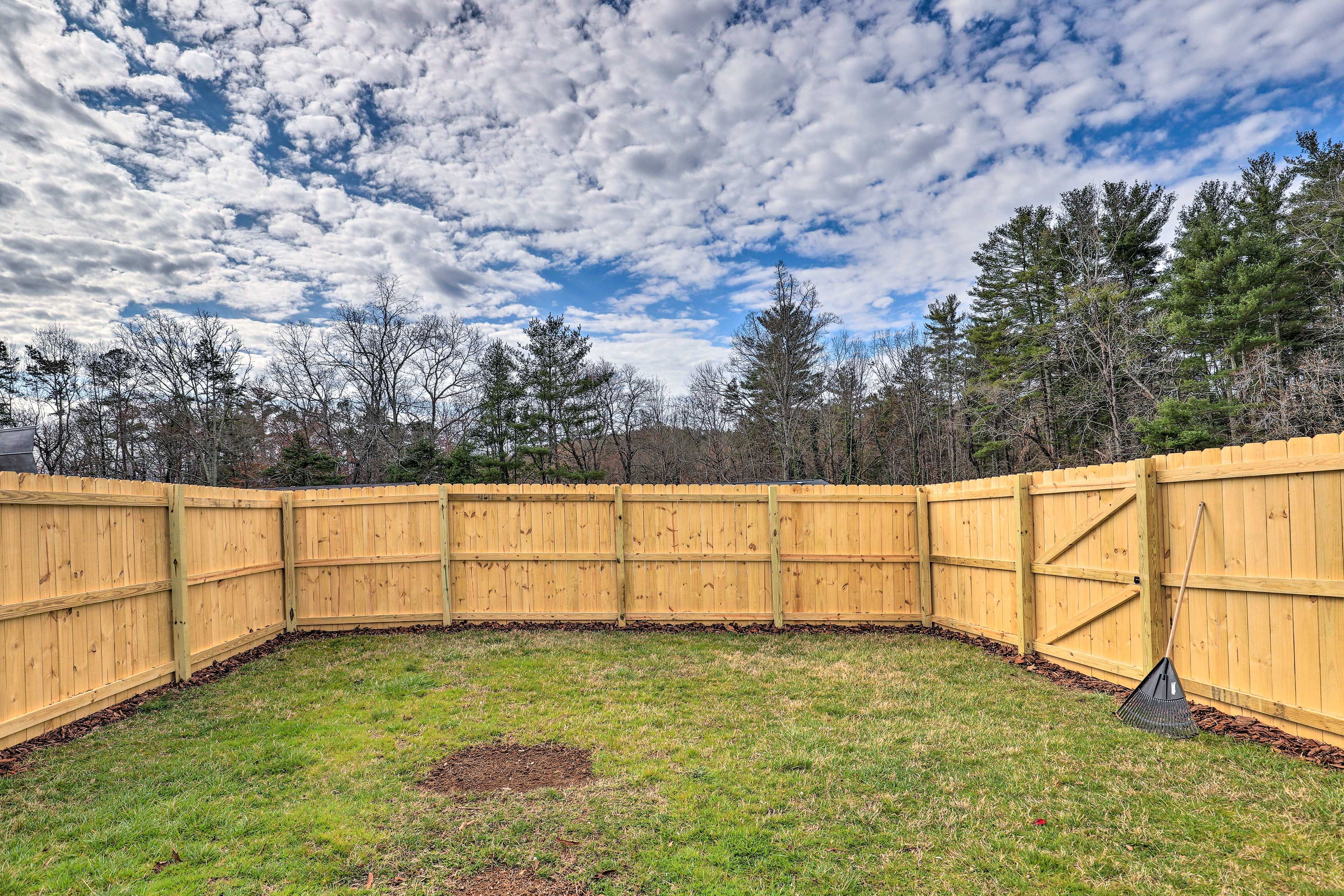 Backyard | Fully Fenced