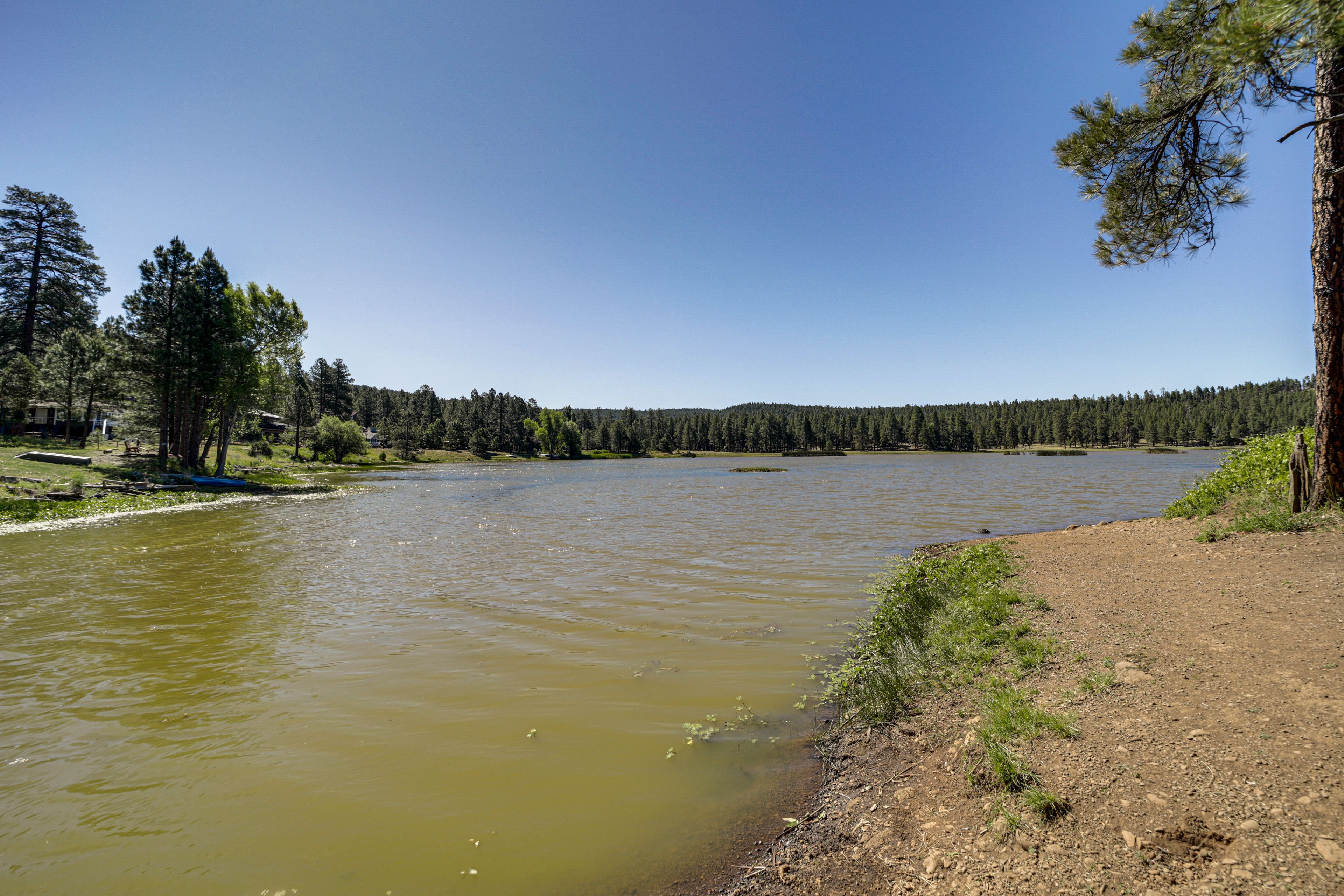 Image 43