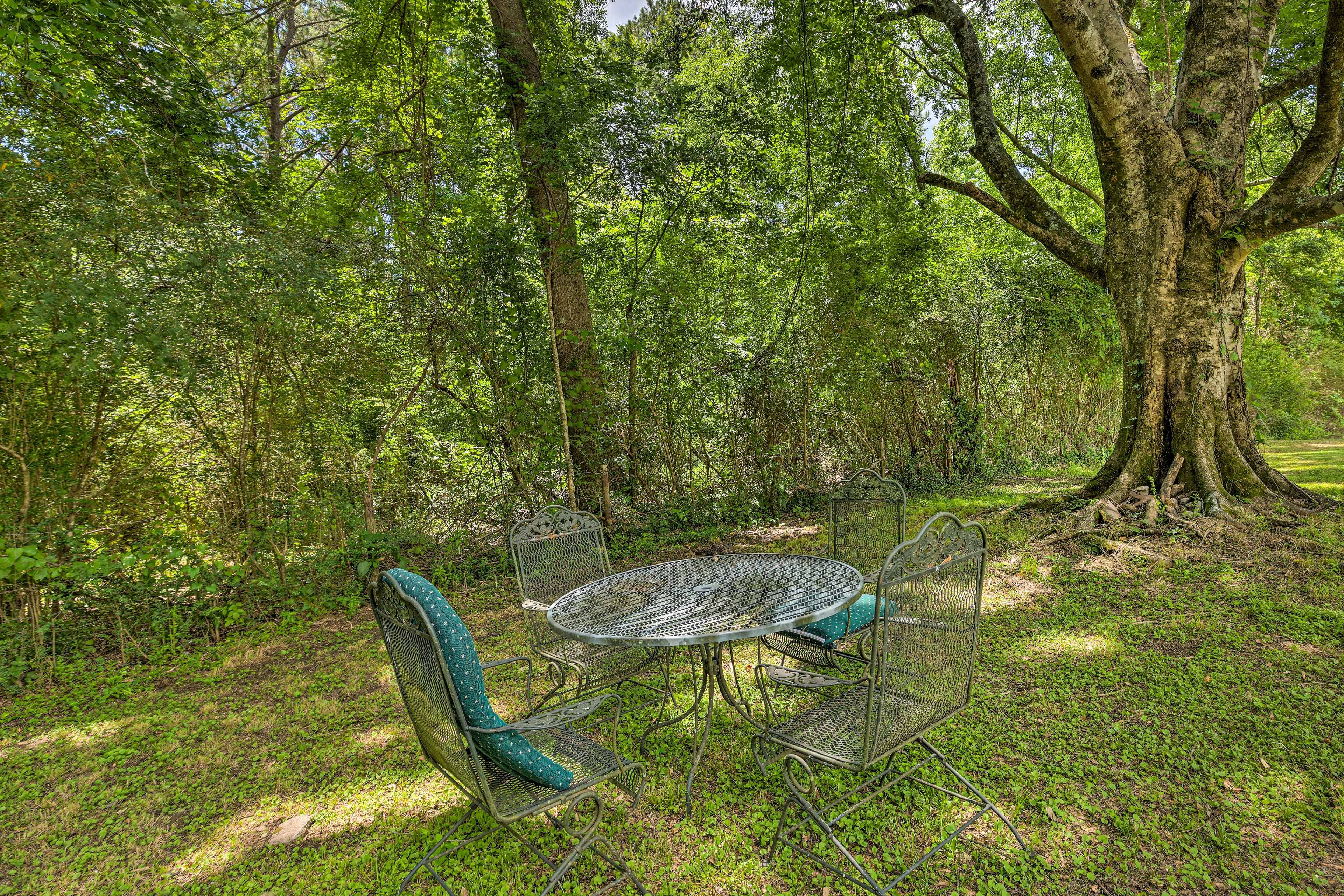 Backyard