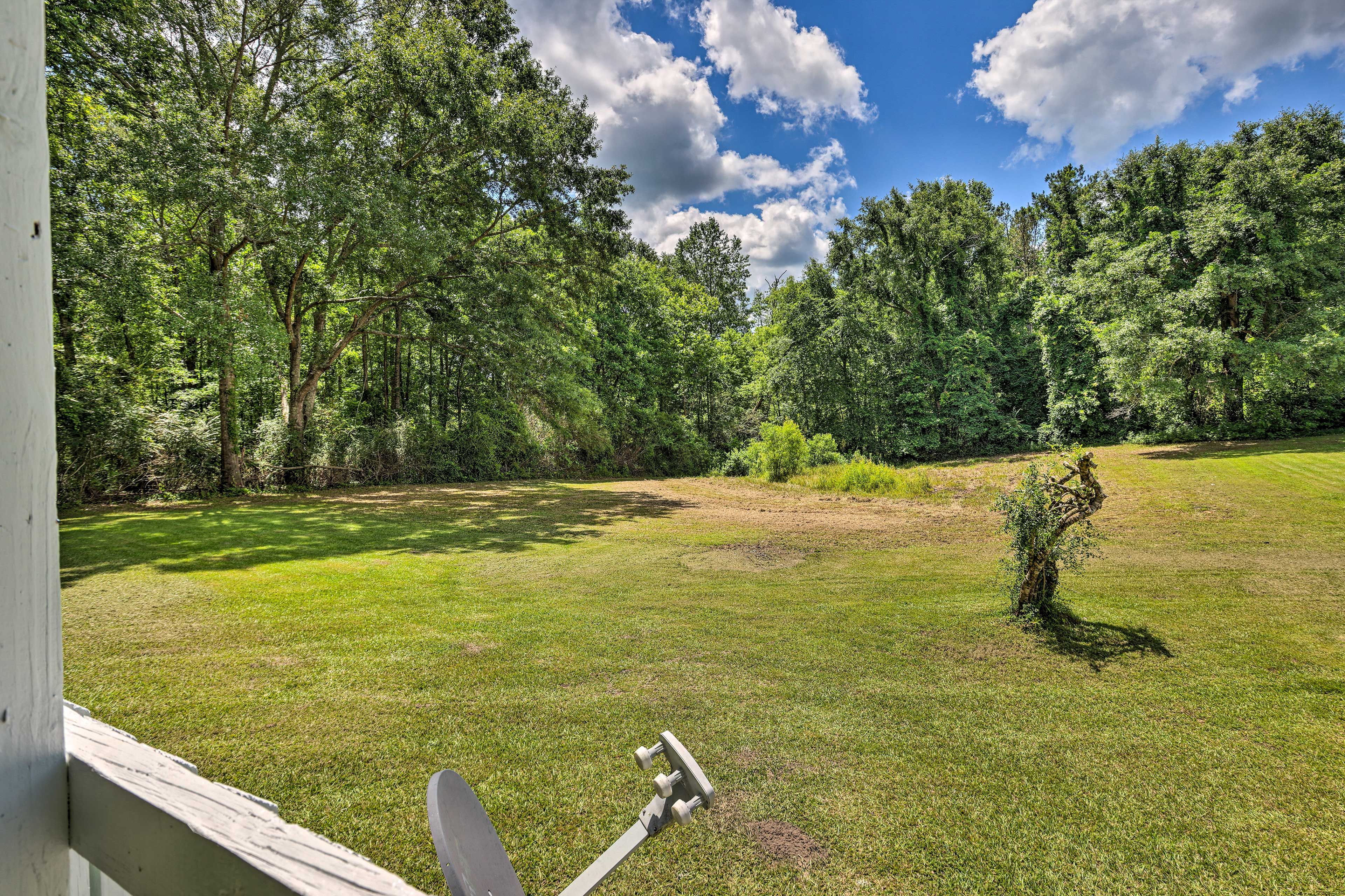 Backyard