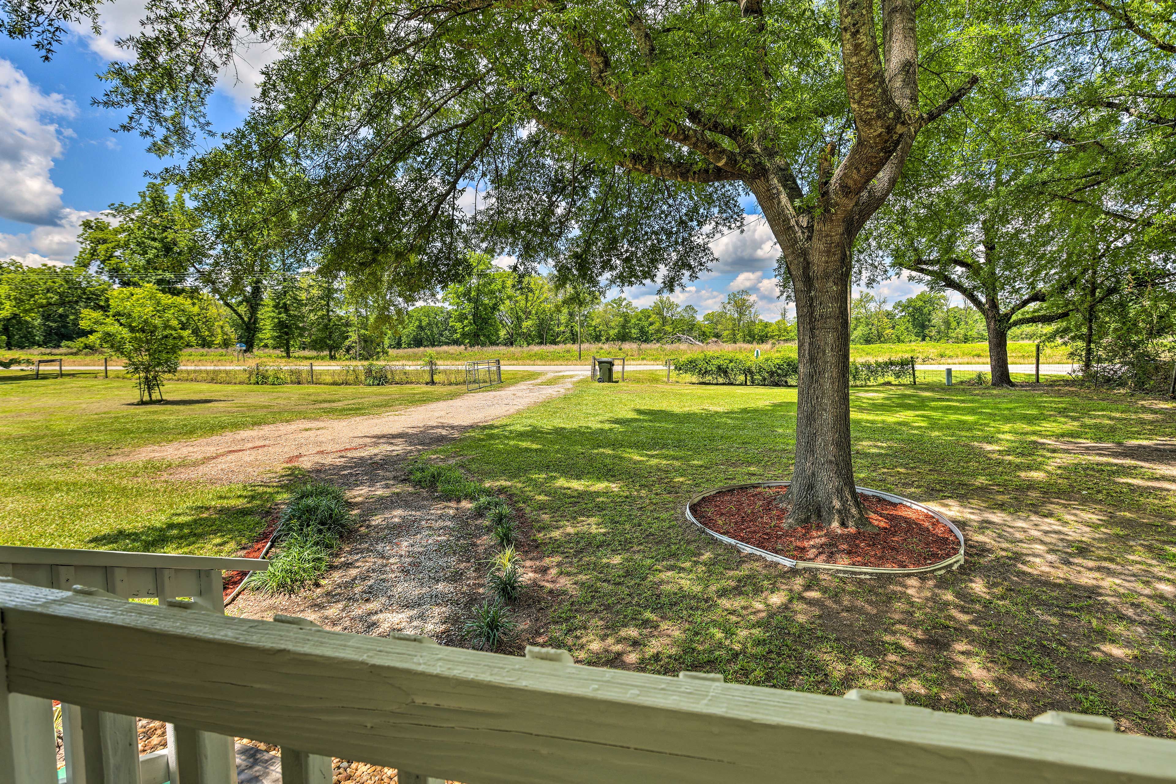 Front Yard