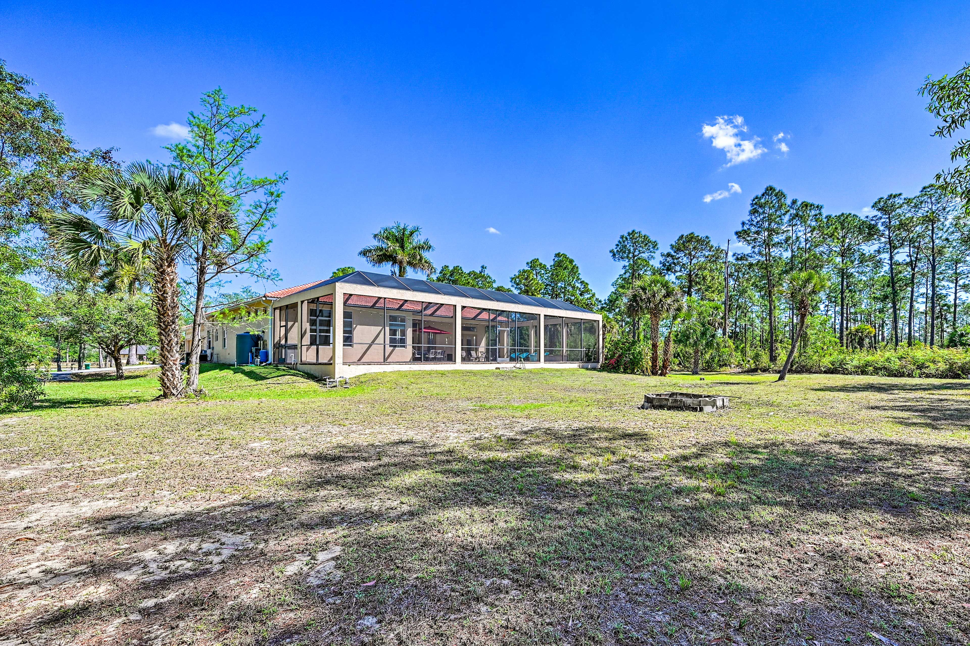 Backyard Area